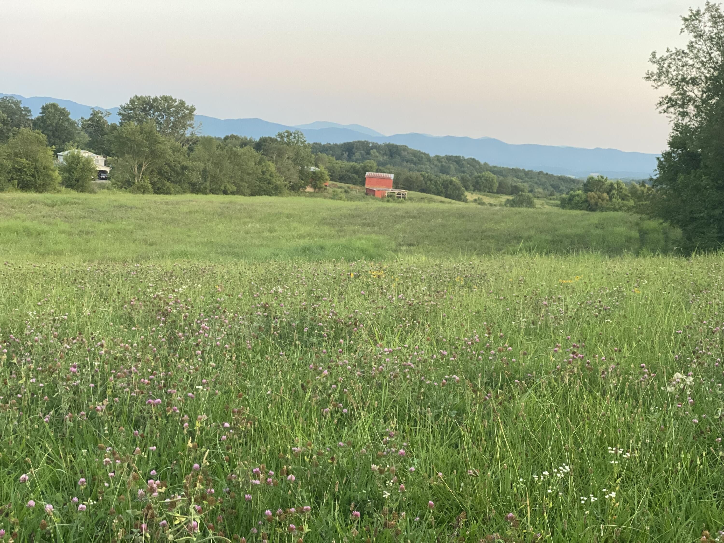 8.2 Acres, 1015 Warrensburg Road, Greeneville, TN 37743 Land and Farm