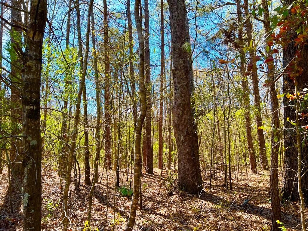 18.36 Acres, 0 Post Road, Winston, GA 30187 Land and Farm