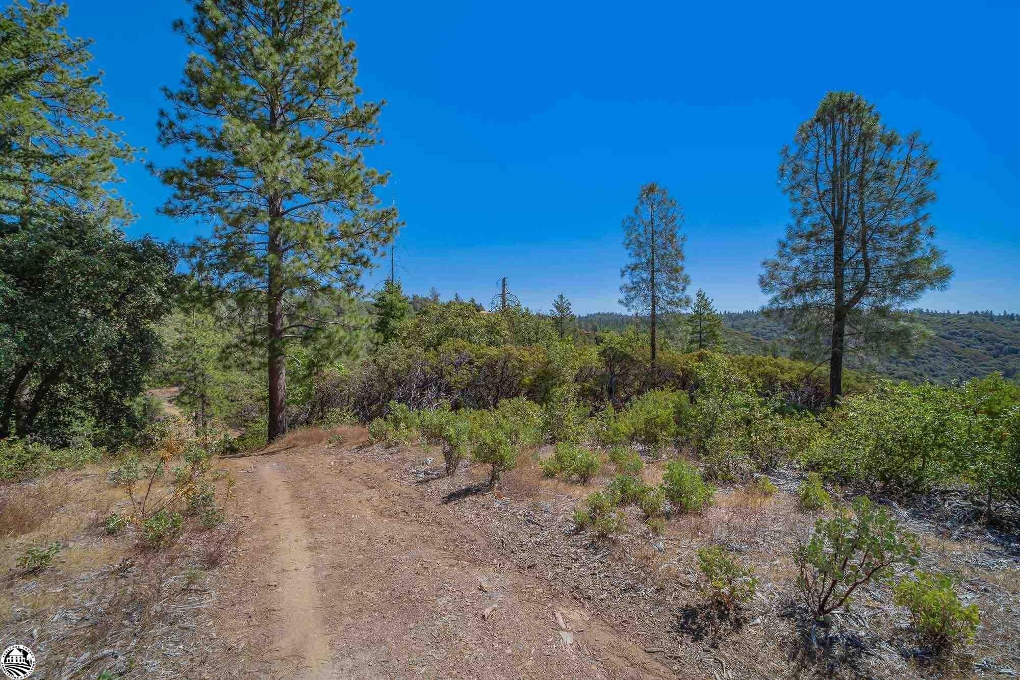 0000 Harper Rd, Big Oak Flat, CA 95305 MLS 20230950 Land and Farm