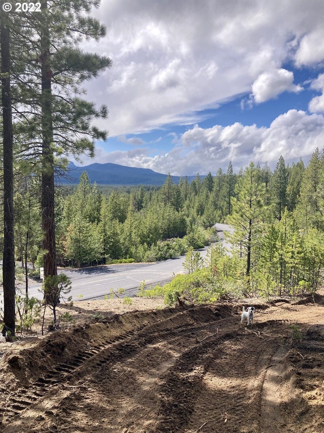 0.98 Acres, 6 Emerald Meadows WAY, Crescent, OR 97733 Land and Farm