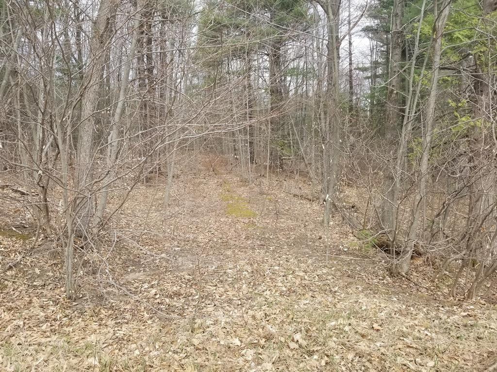 26.5 Acres, . Bull Run Road, Constable, NY 12926 Land and Farm