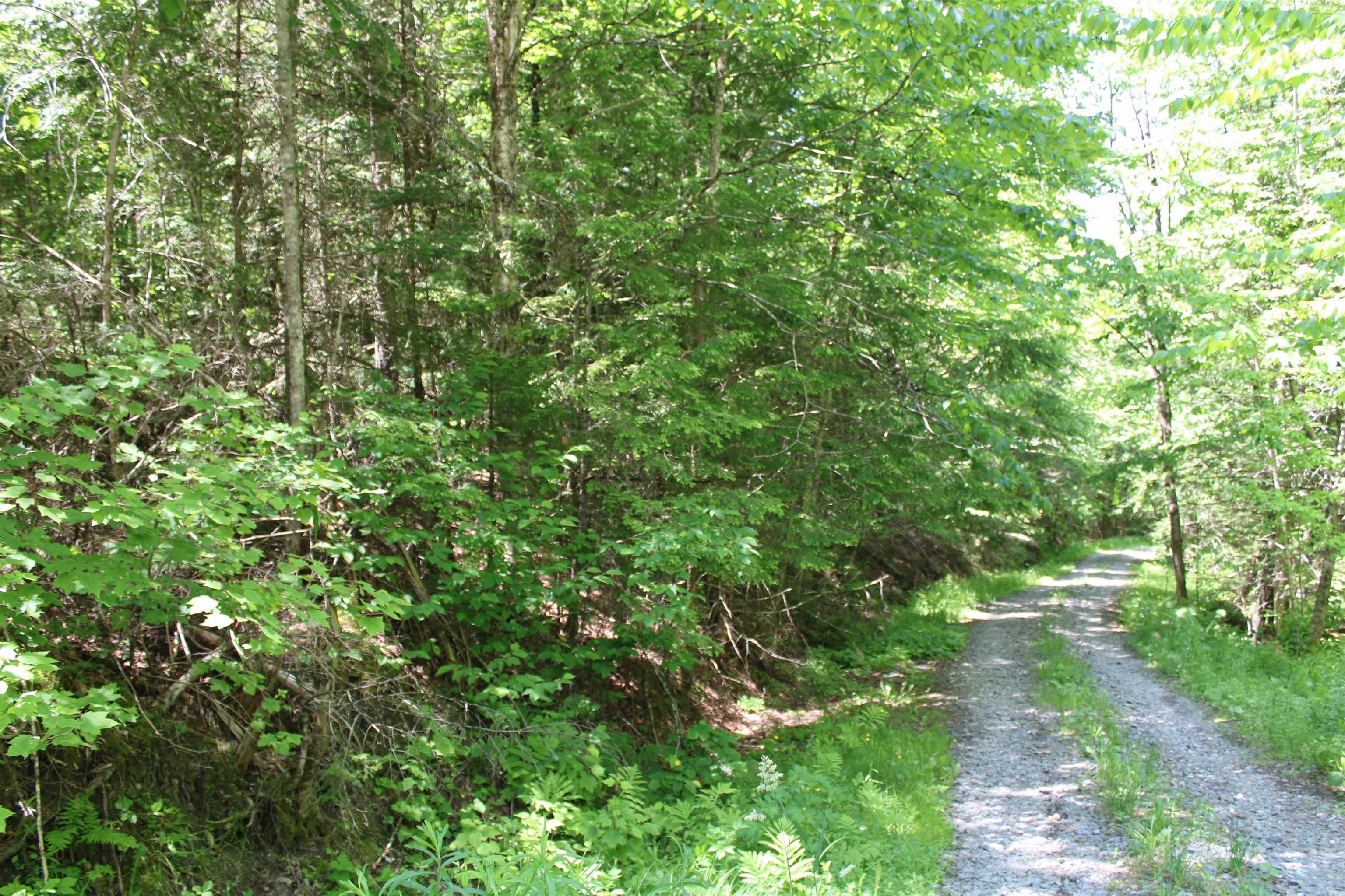160.1 Acres, 0 Turcotte Road, Wolcott, VT 05680 Land and Farm