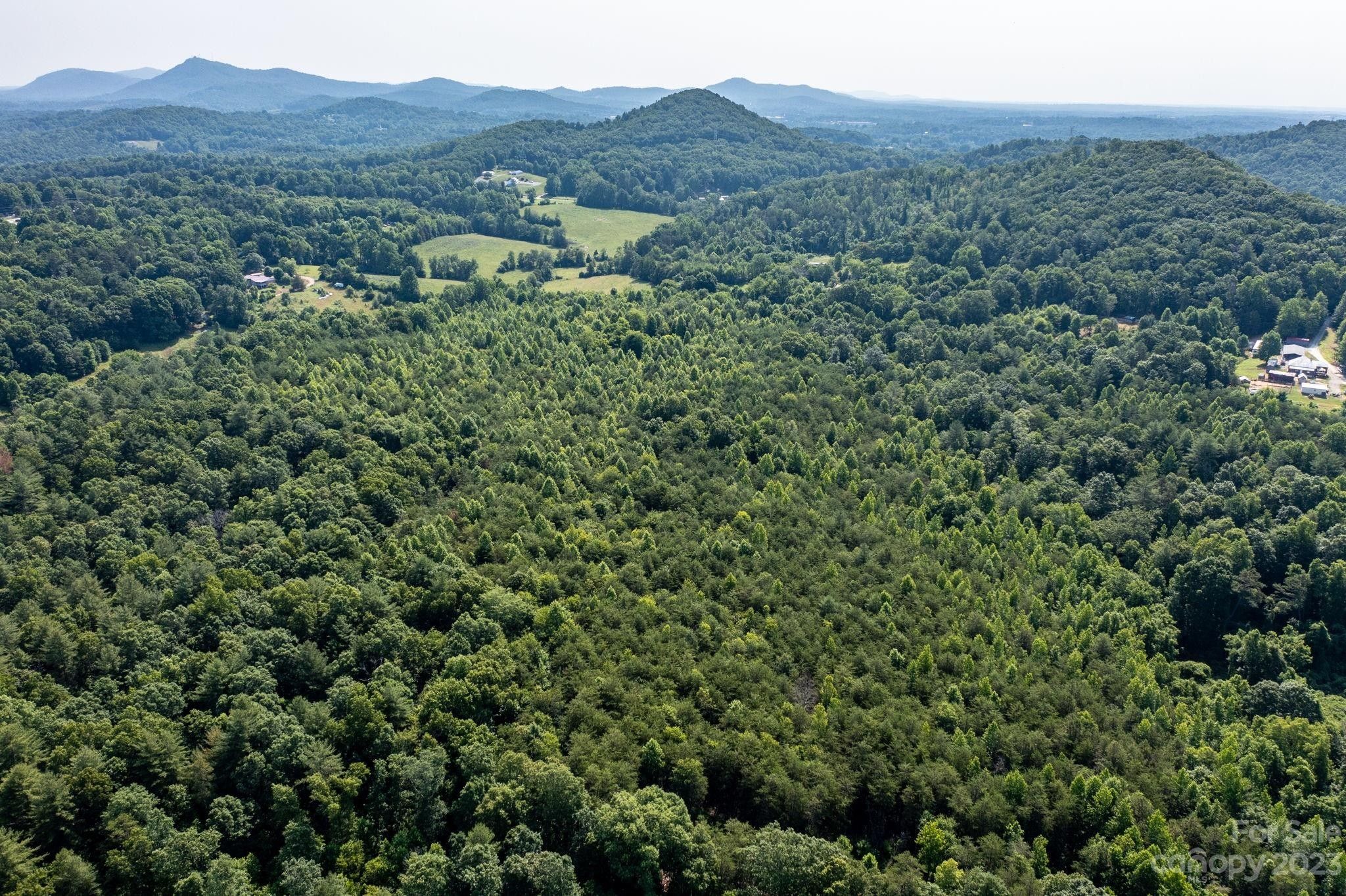 44.77 Acres, 3183 Ebb Smith Road, Lenoir, NC 28645 Land and Farm