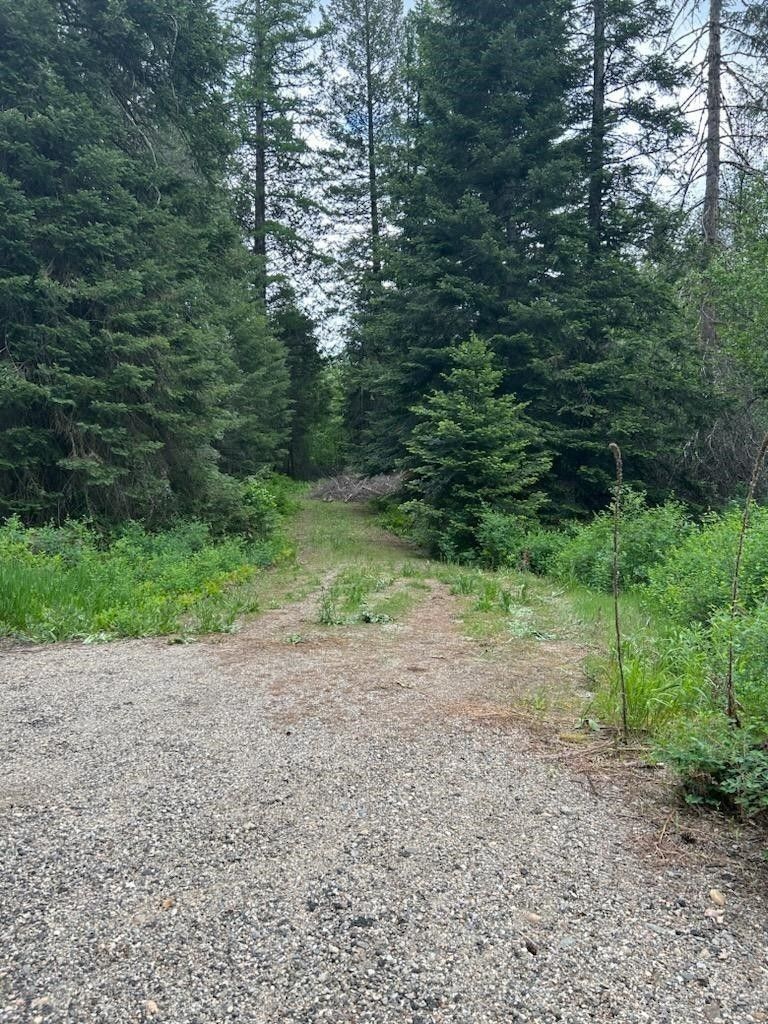 5.5 Acres, 346xx N Regal, Deer Park, WA 99006 Land and Farm