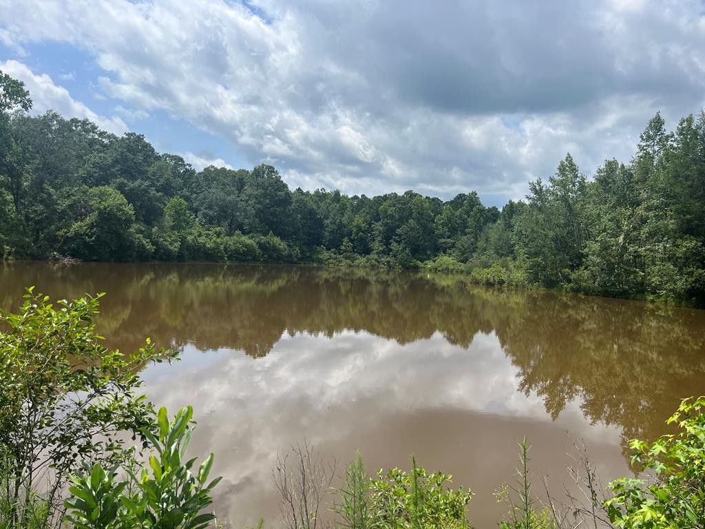 TBD County Road 40, Abbeville, AL 36310 MLS 190945 Land and Farm