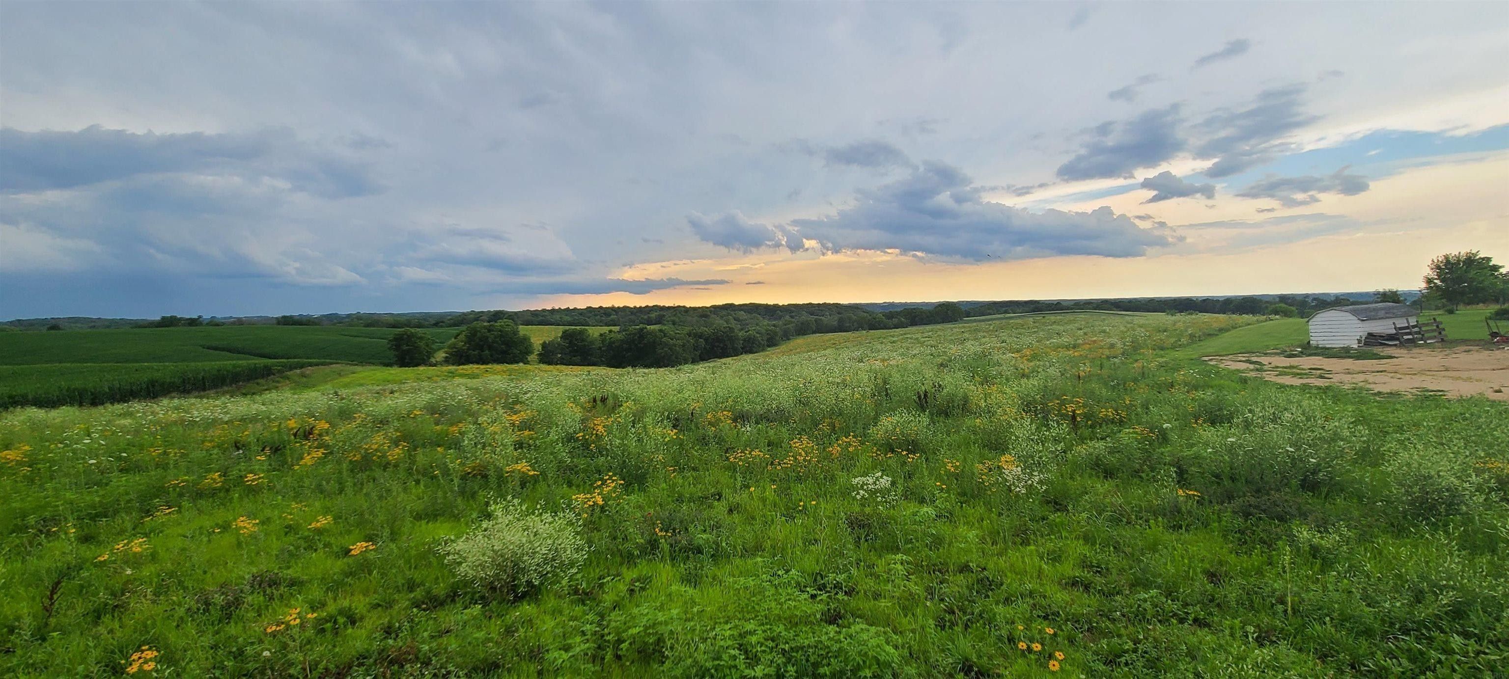 34553 Crystal, Strawberry Point, IA 52076 MLS 20232907 Land and Farm