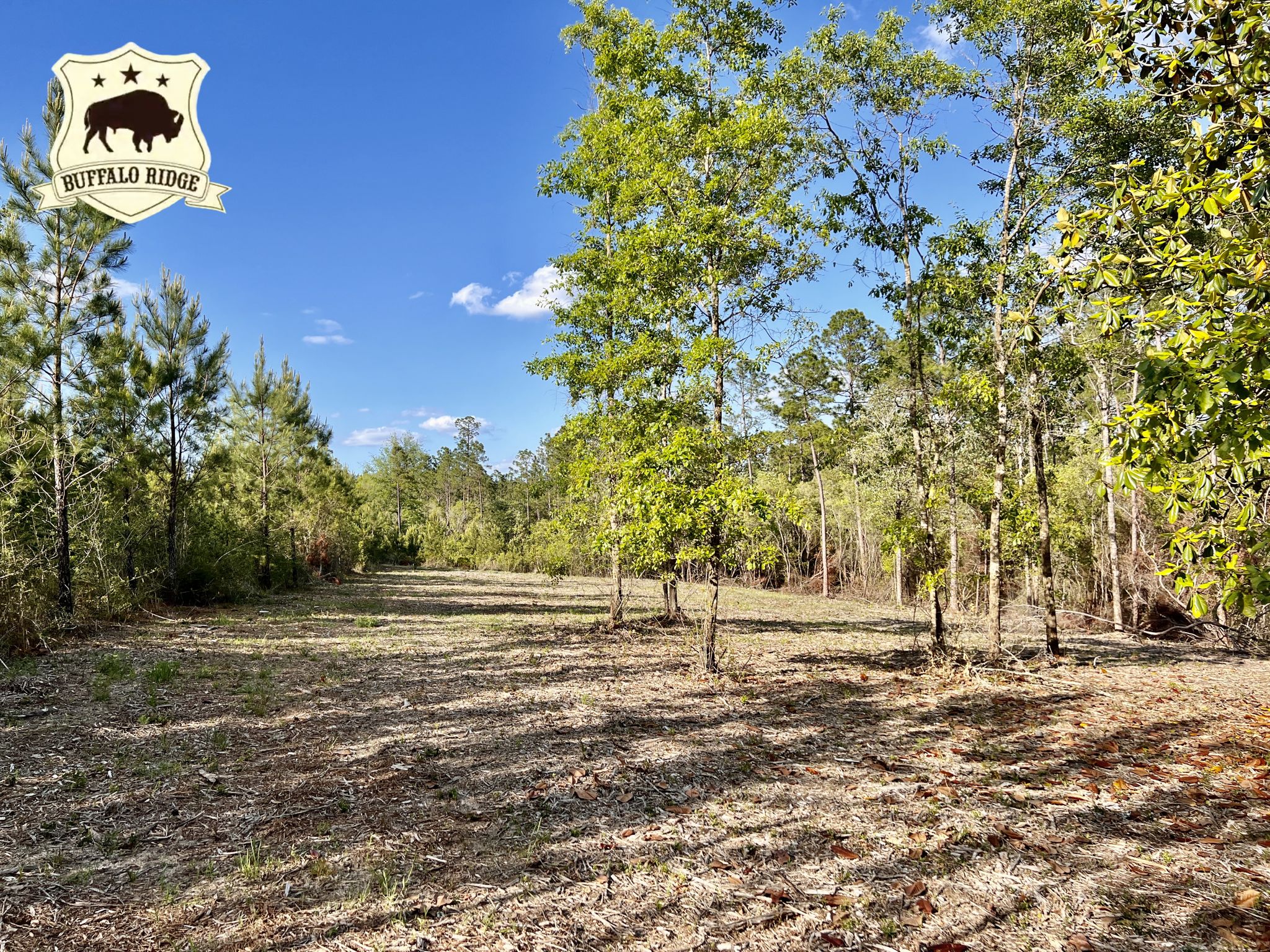 Lot 86 BR Eternal Path, Pace, FL 32571 MLS 609597 Land and Farm