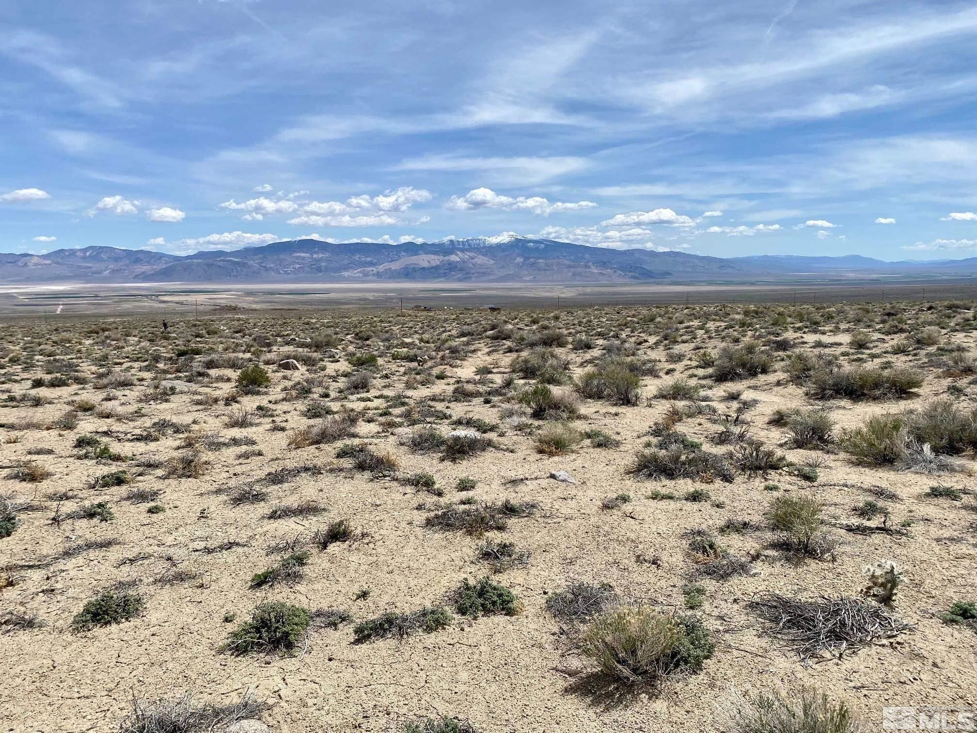 10 Acres, Chiatovich Creek Rd, Dyer, NV 89010 Land and Farm