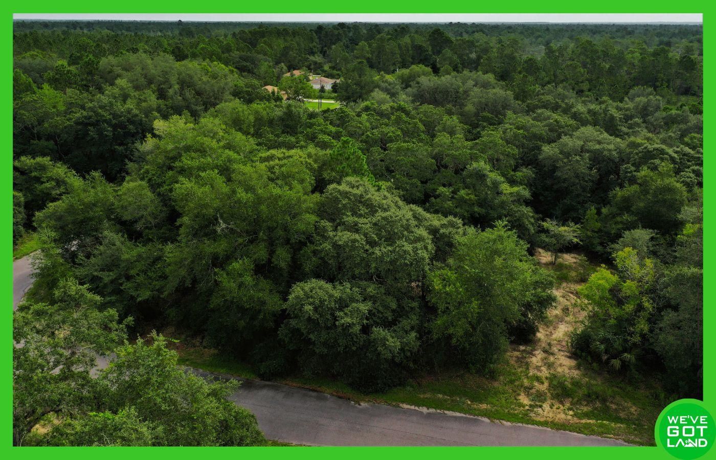 Fisher Pass, Ocklawaha, FL 32179 MLS 9035098806 Land and Farm