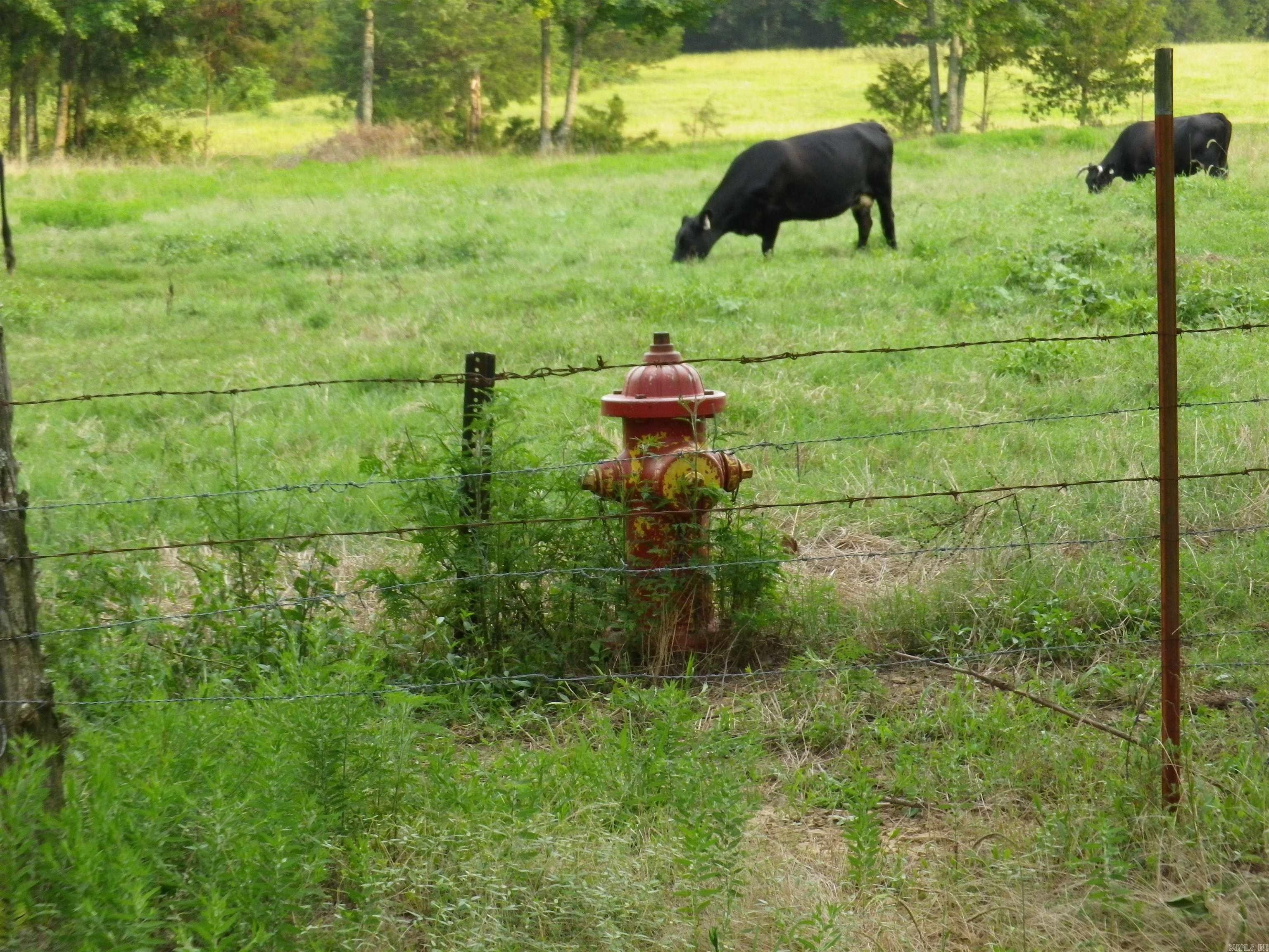 40 Acres, 79 SCRATCH GRAVEL RD, Damascus, AR 72039 Land and Farm