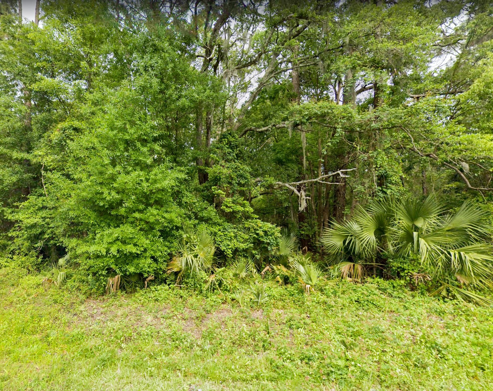 0.5 Acres, South Faulkner Street, Perry, FL 32348 Land and Farm