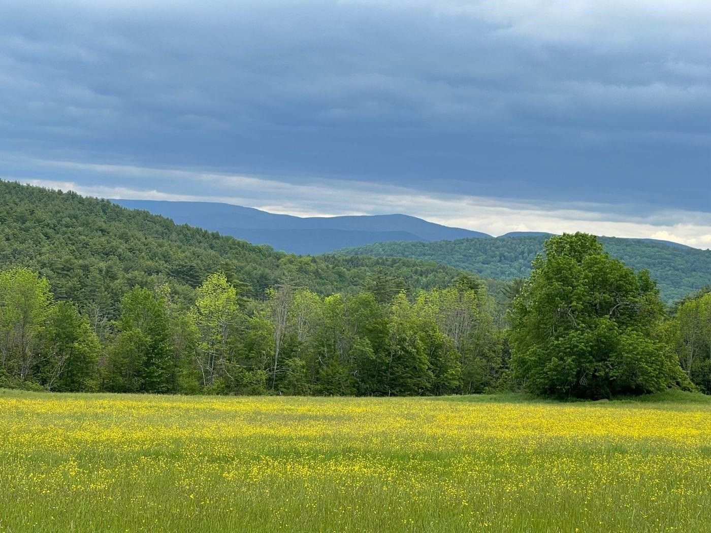 82.18 Acres, 00 Weed Road, Hartland, VT 05048 Land and Farm