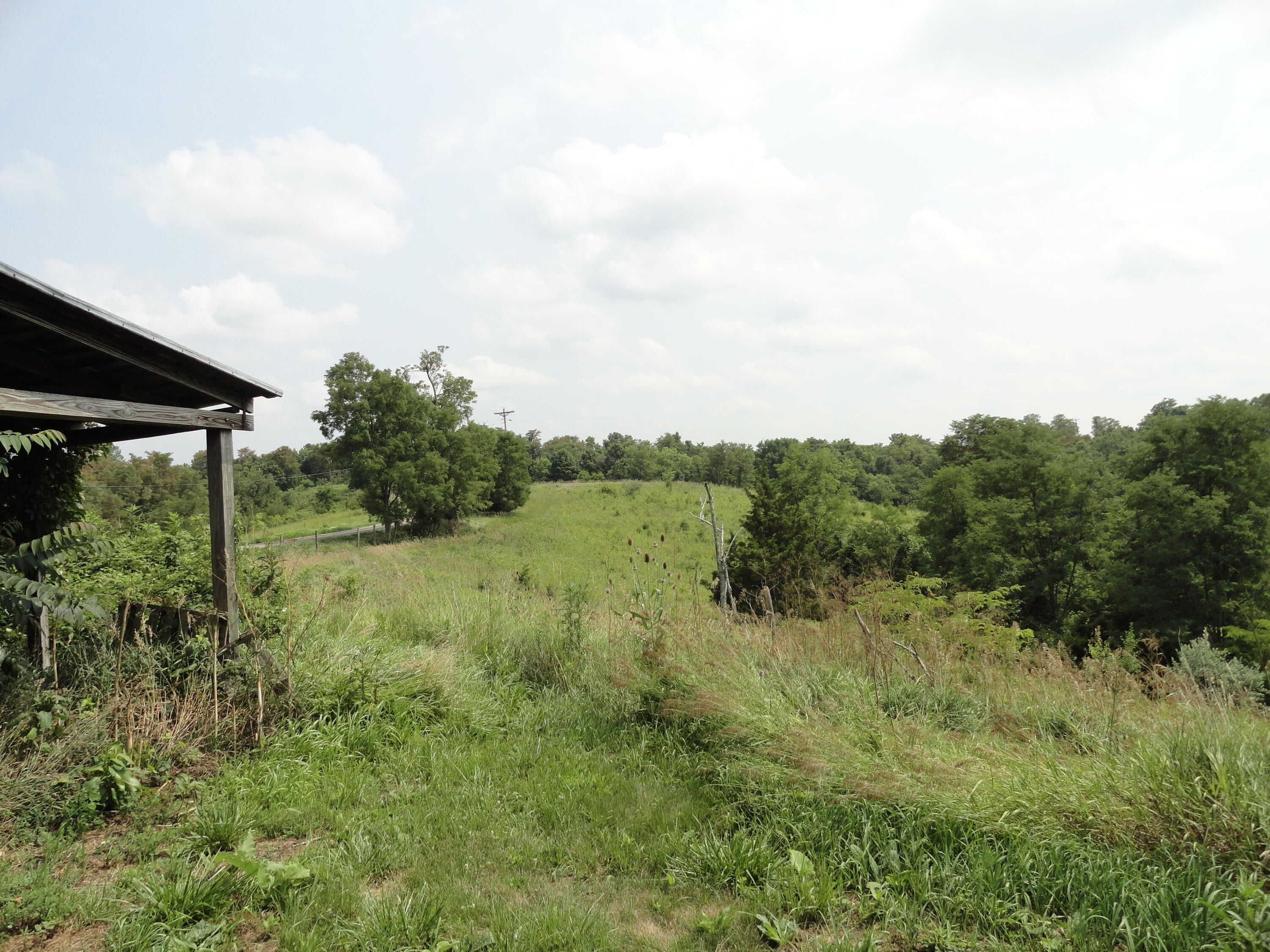 19.5 Acres, 1376 Neave Milford Road, Falmouth, KY 41040 Land and Farm