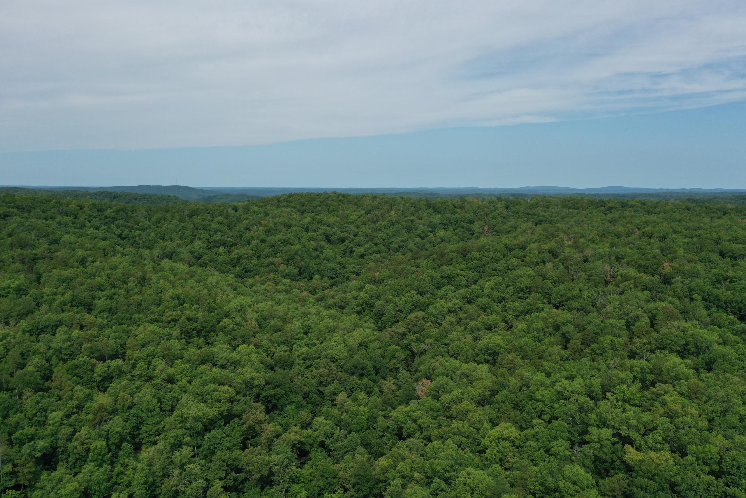 Aldrich Valley Rd, Lot WP001, Van Buren, MO 63965 Land and Farm