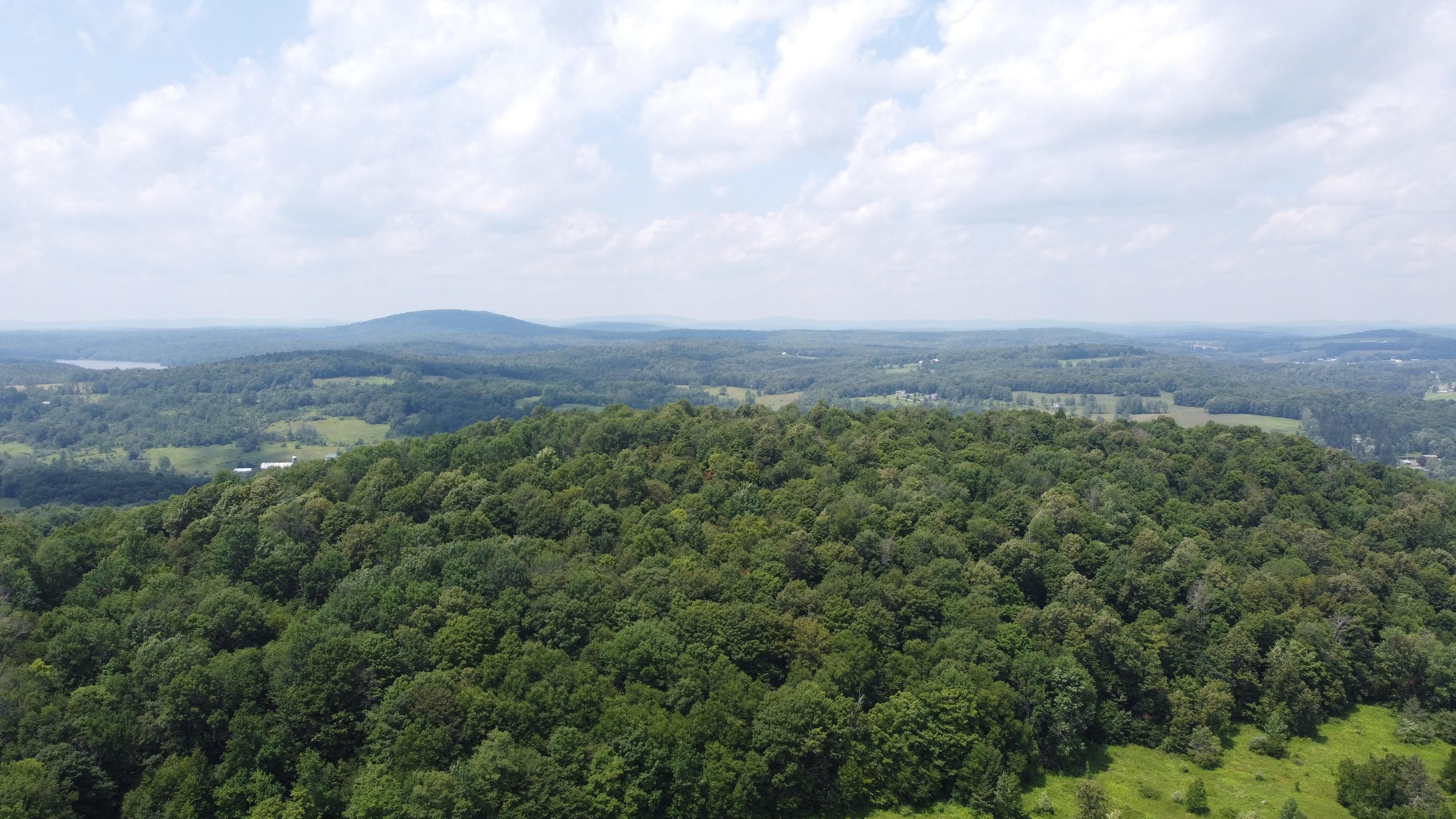 41.93 Acres, Schuman Road, Damascus, PA 18415 Land and Farm