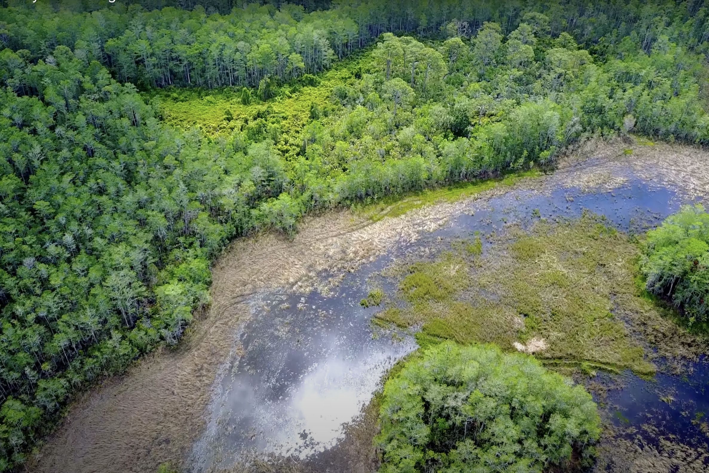 321 acres in Indiantown, FL, 34956 Land and Farm