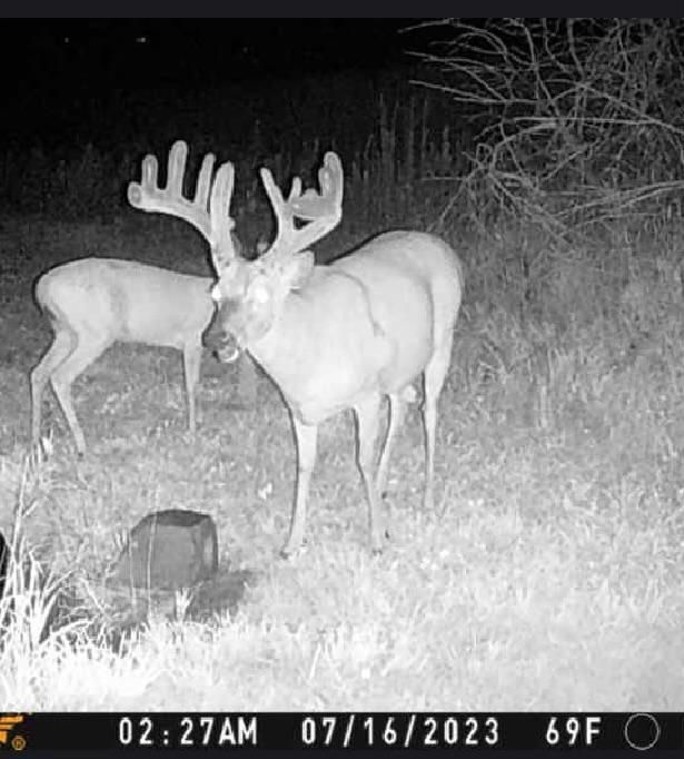 11 Acres, Strawberry Point, IA 52076 Land and Farm