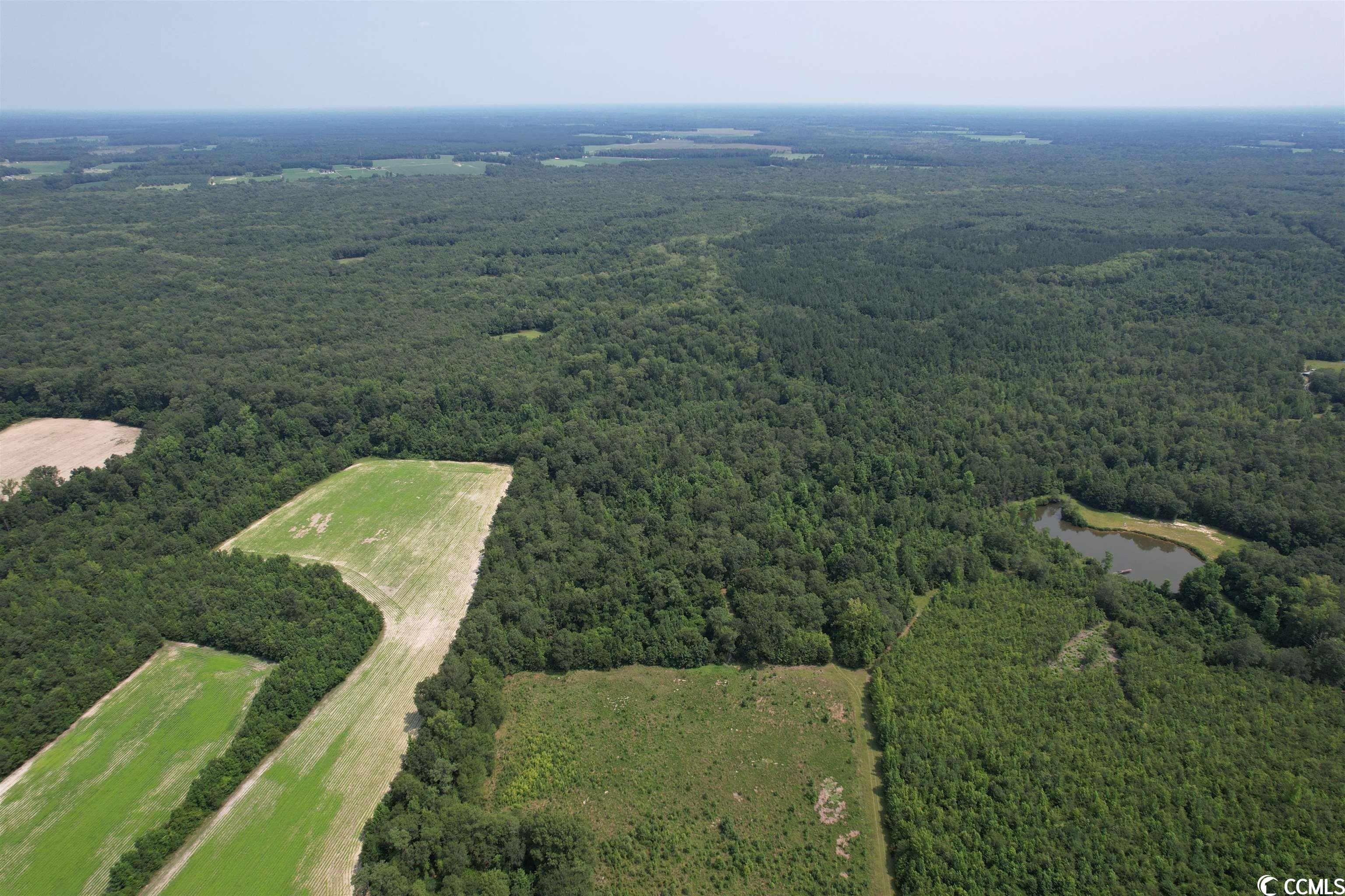 79 Acres, TBT Highway 261, Kingstree, SC 29556 Land and Farm