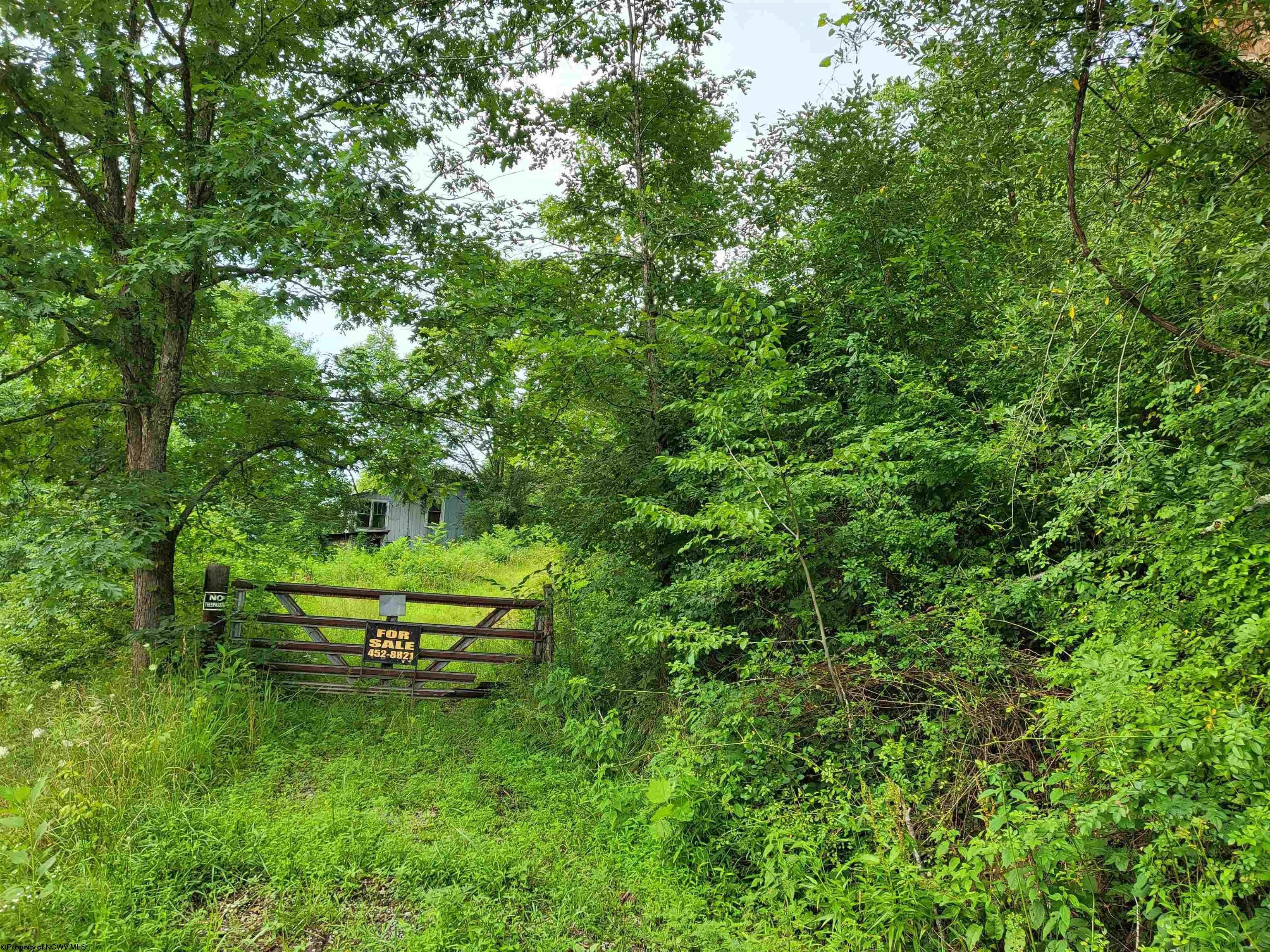 126 Acres, 64521 Gauley Turnpike Road, Heaters, WV 26627 Land and Farm