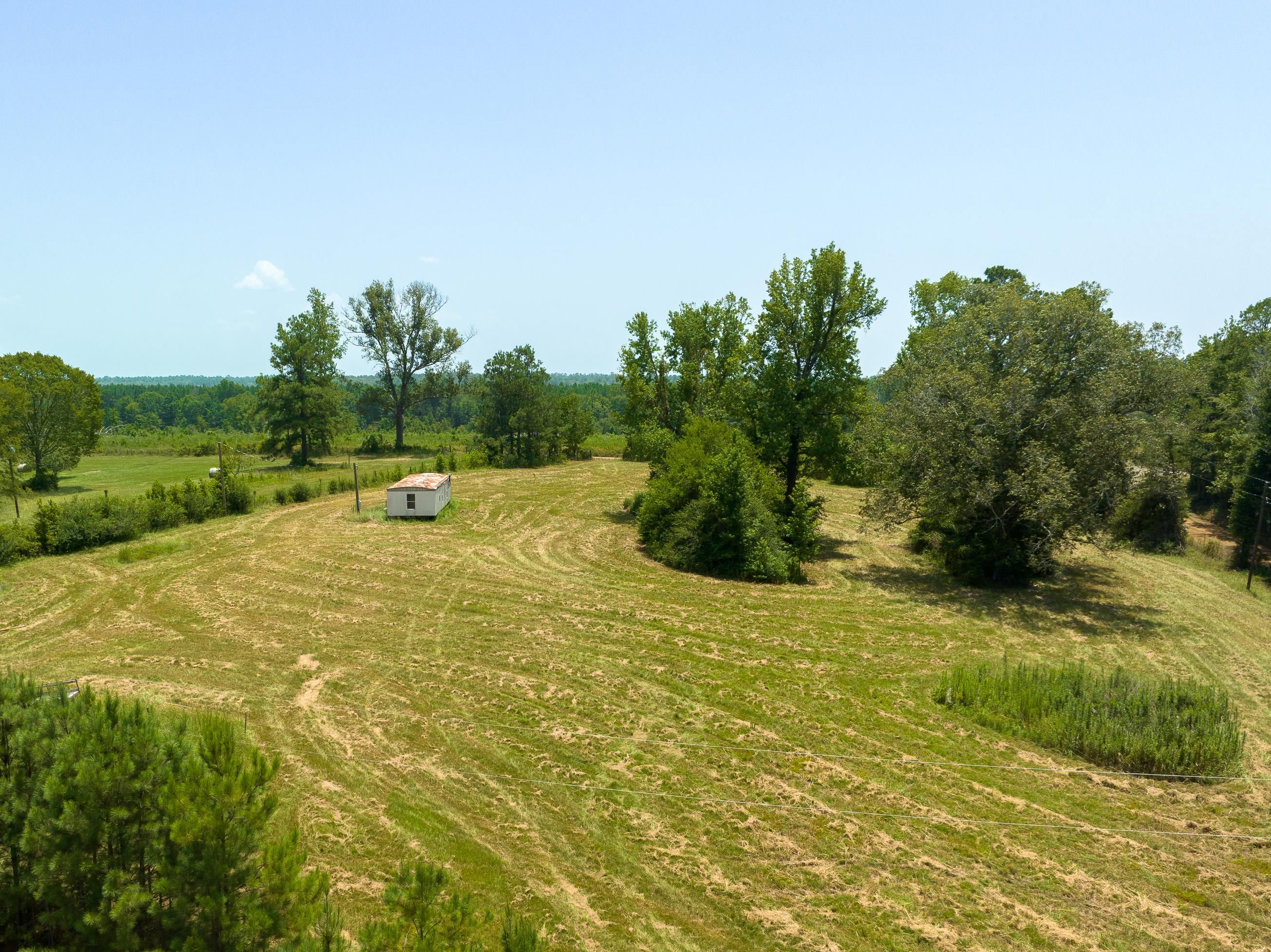 4 Acres, County Road 2920, Shelbyville, TX 75973 Land and Farm