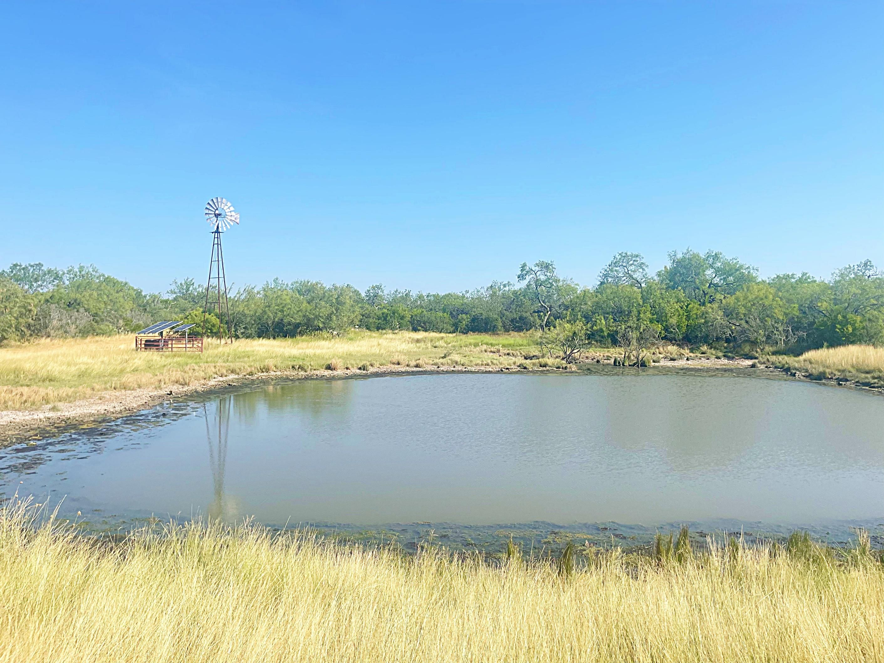 218.23 Acres, Hwy 281, Pleasanton, TX 78064 Land and Farm