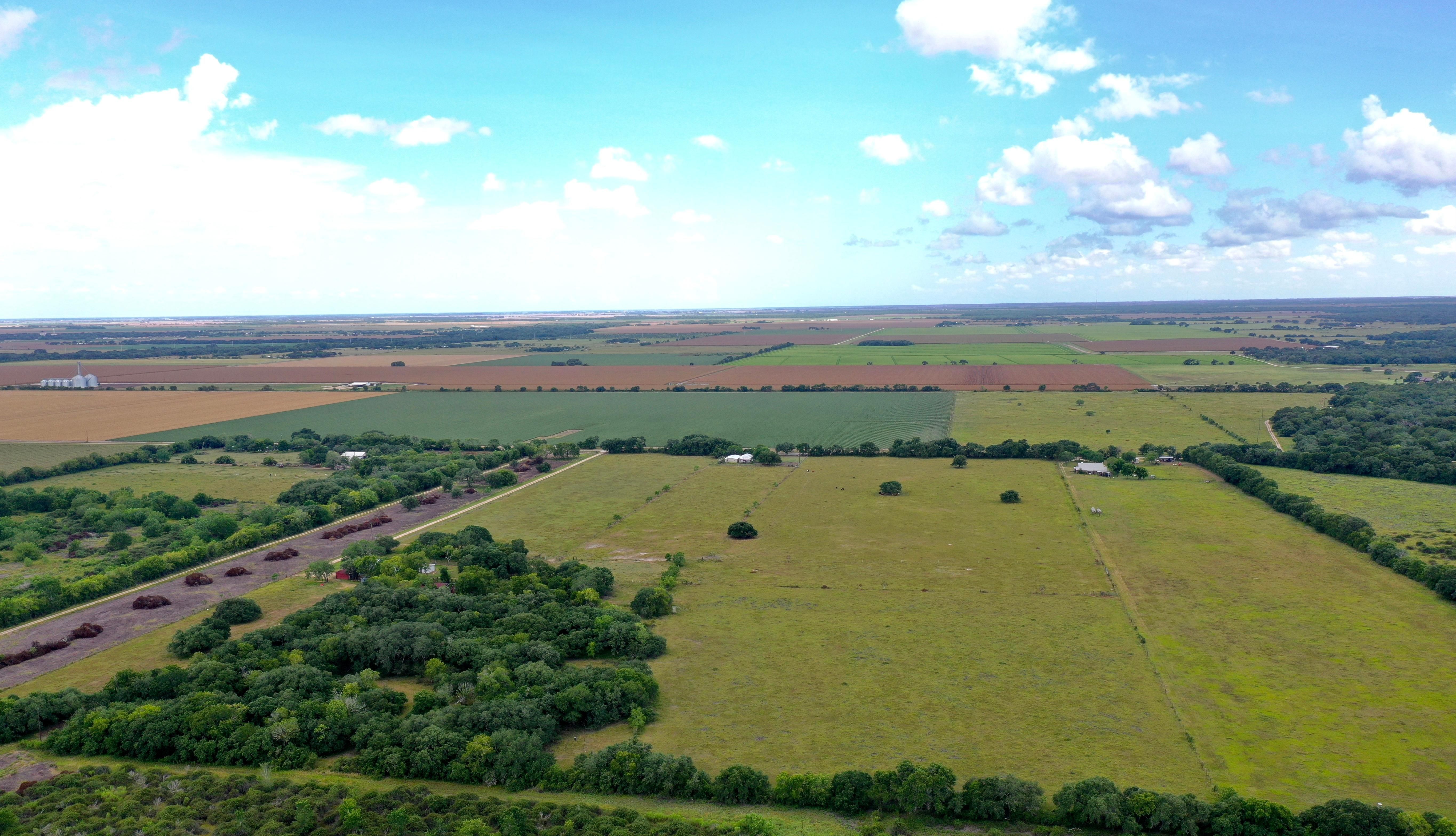 4102 County Road 384, Louise, TX 77455 Land and Farm