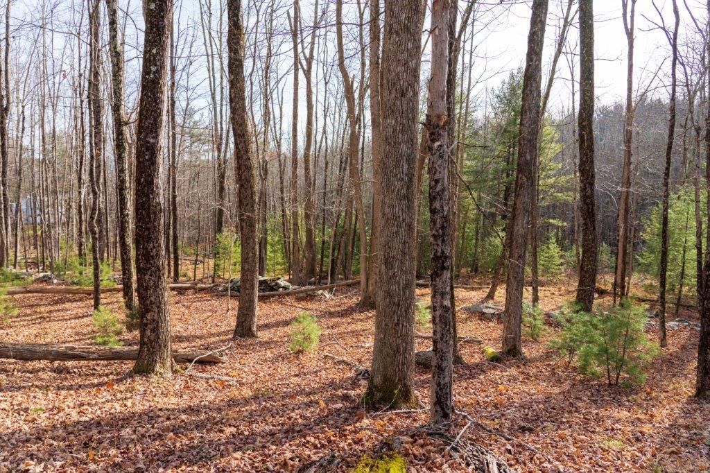 21 Acres, Ellenville, NY 12428 Land and Farm