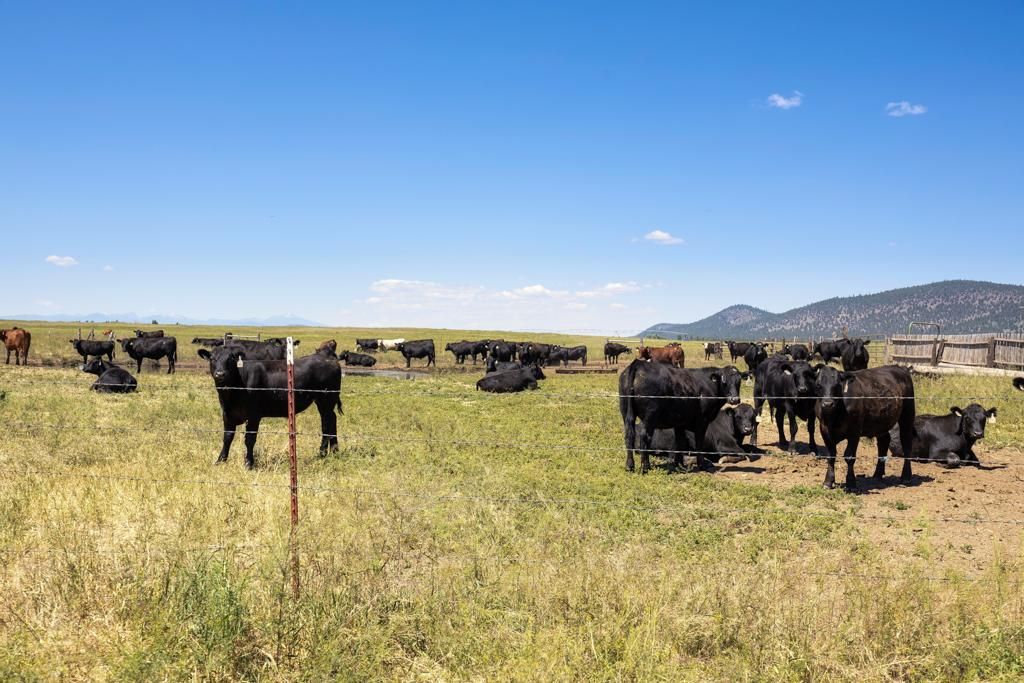 27233 Modoc Point Road, Chiloquin, OR 97624 MLS 220146372 Land and