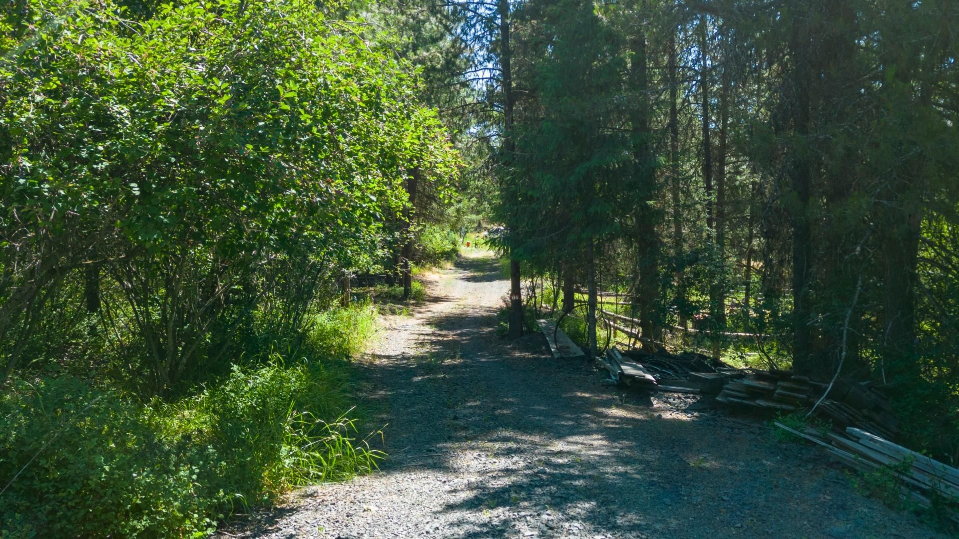 11.06 Acres, 231 Peterson Point Road, St Maries, ID 83861 Land and Farm