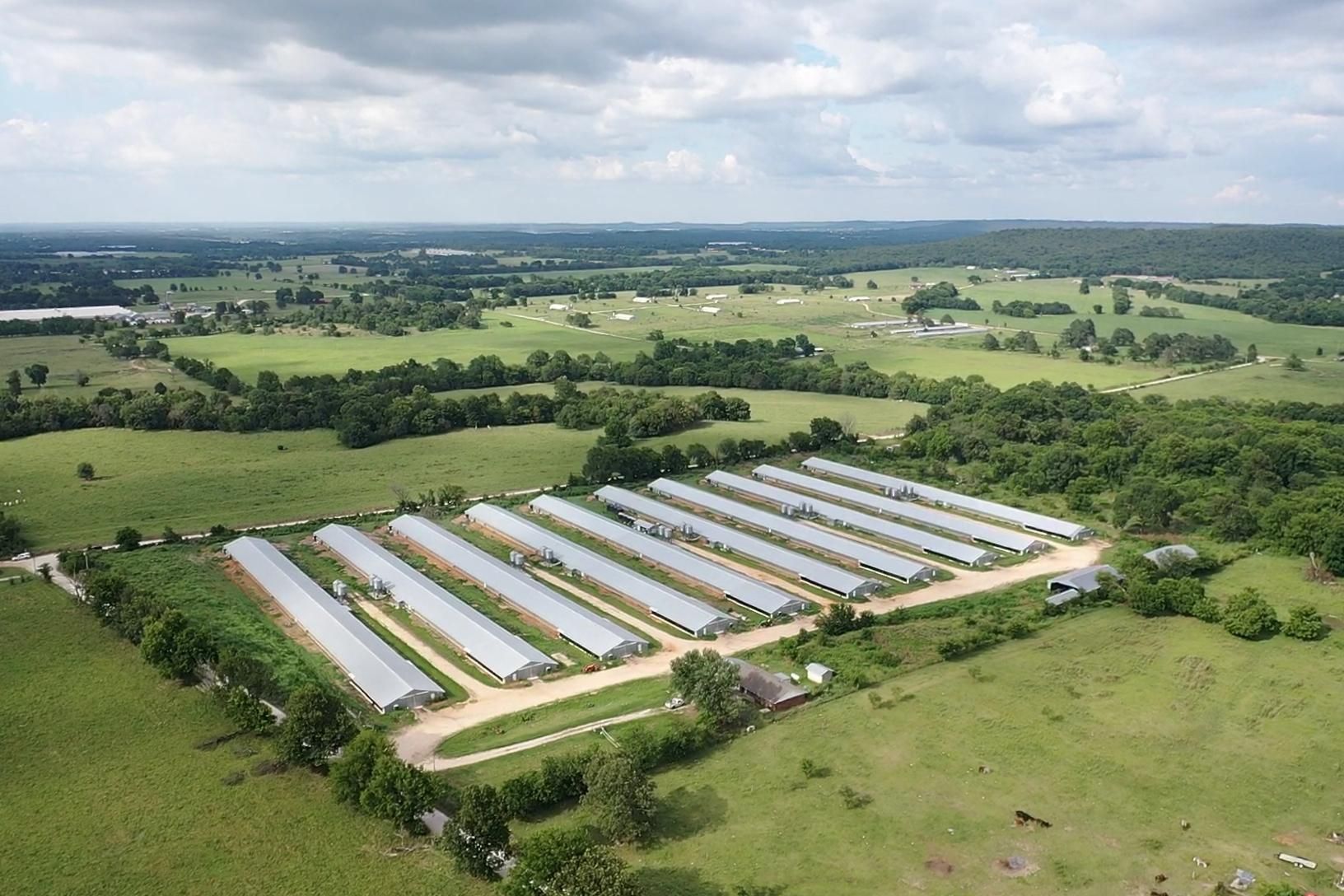 41 Acres, 10166 State Line Rd, Summers, AR 72769 Land and Farm