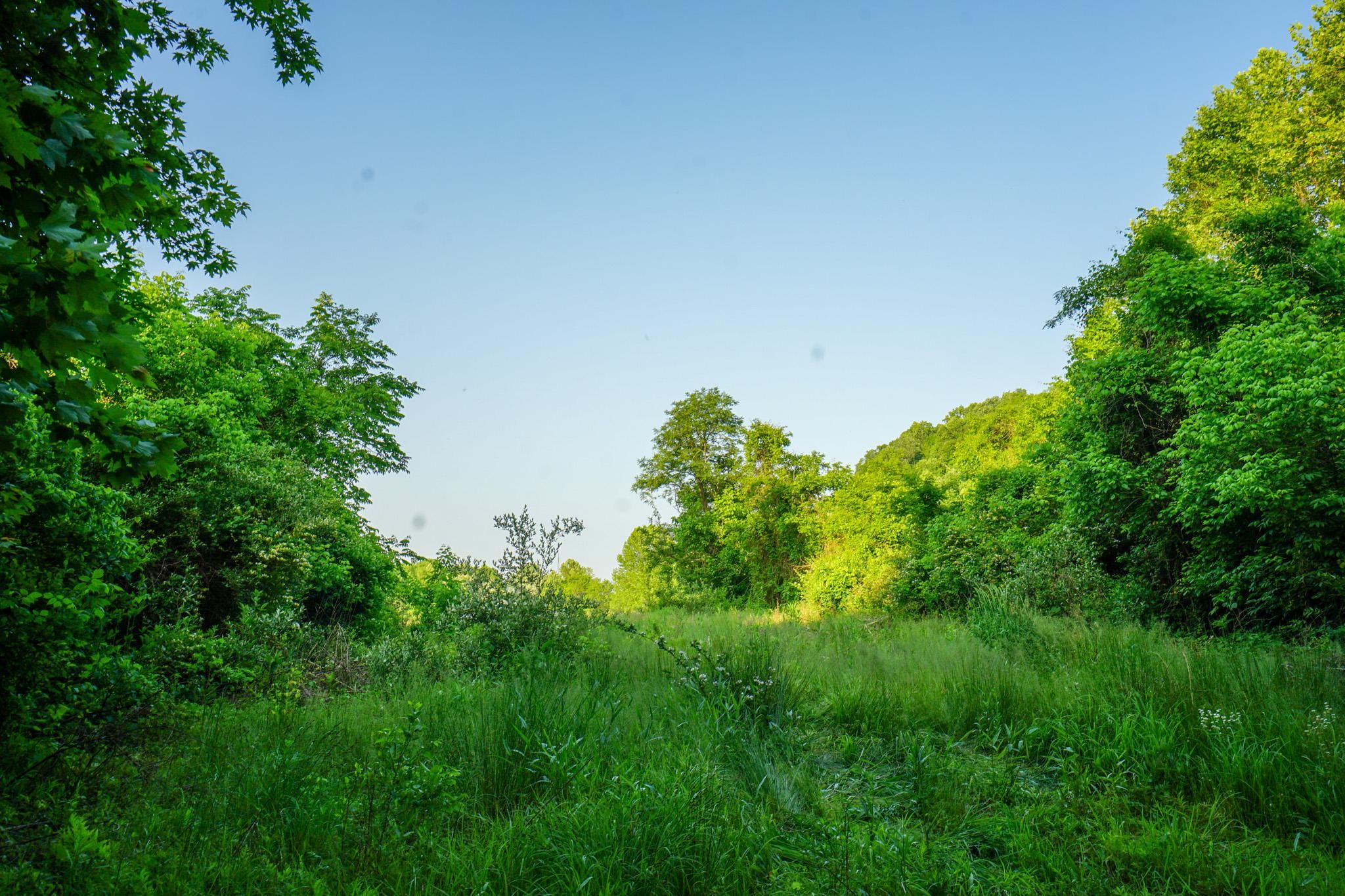 44 Acres, Township Road 82, Proctorville, OH 45669 Land and Farm