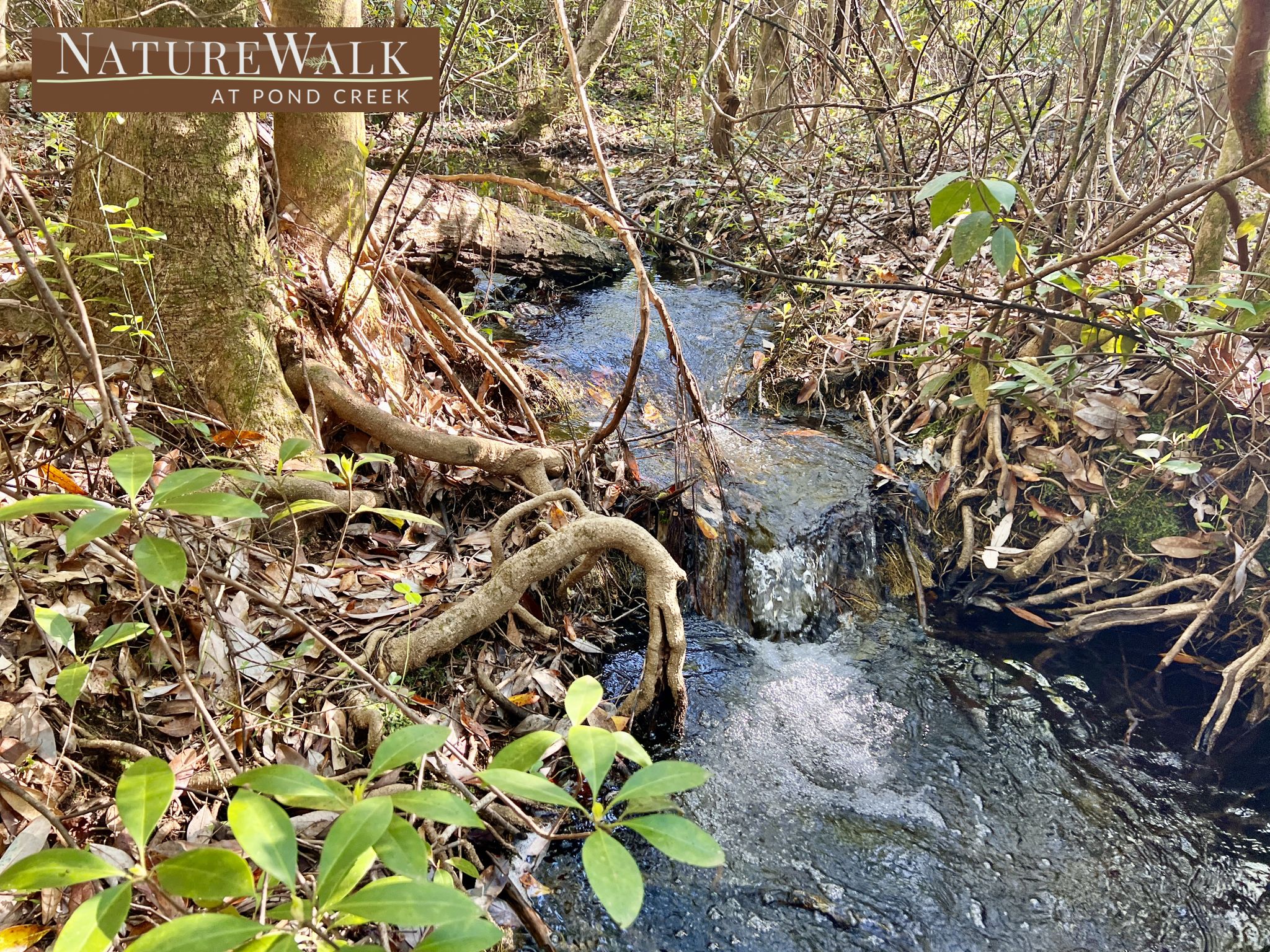 Lot 22 Nature Walk Rd, Pace, FL 32571 MLS 624667 Land and Farm