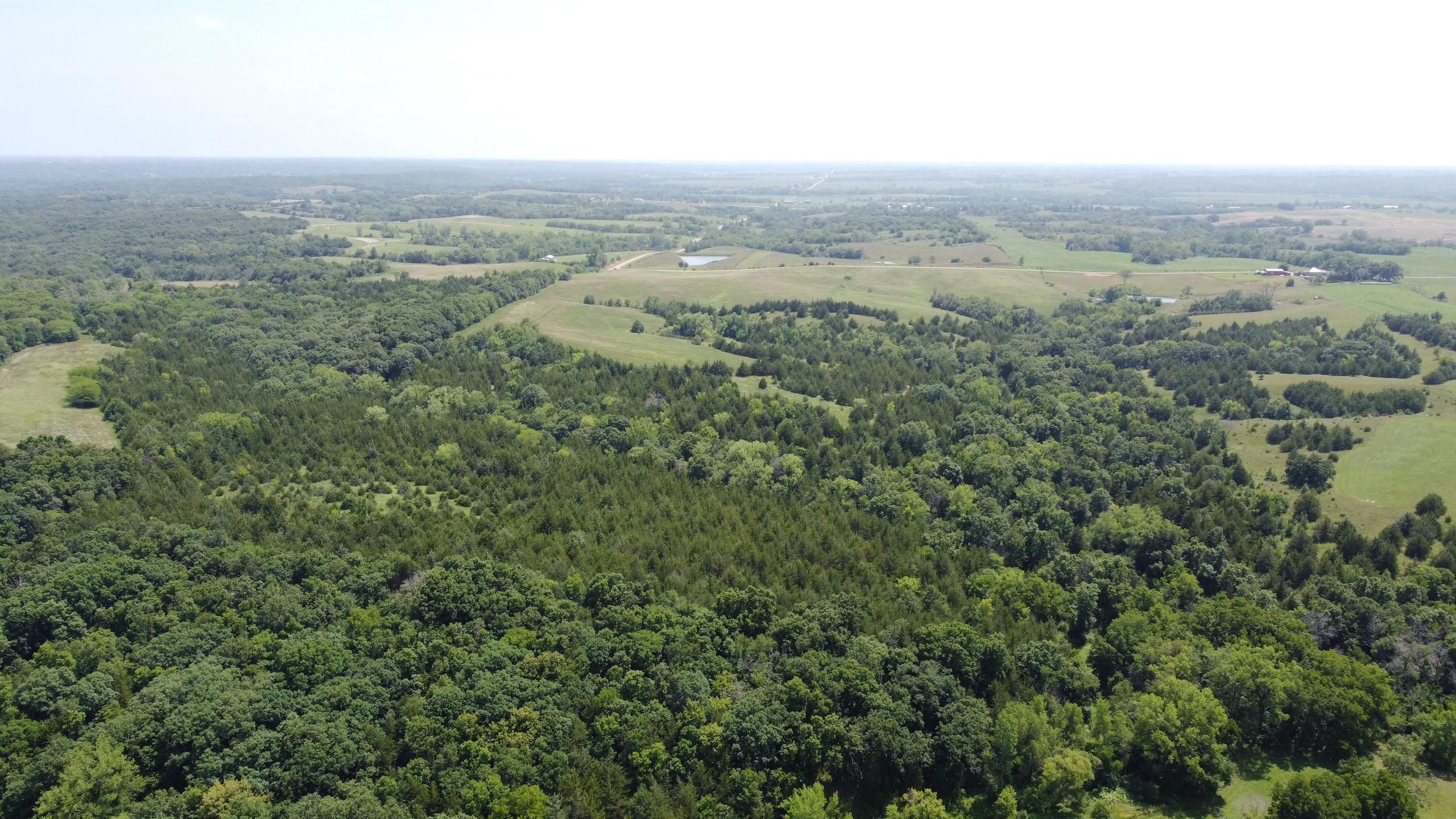 140th Street, LotWP001, Grand River, IA 50108 Land and Farm