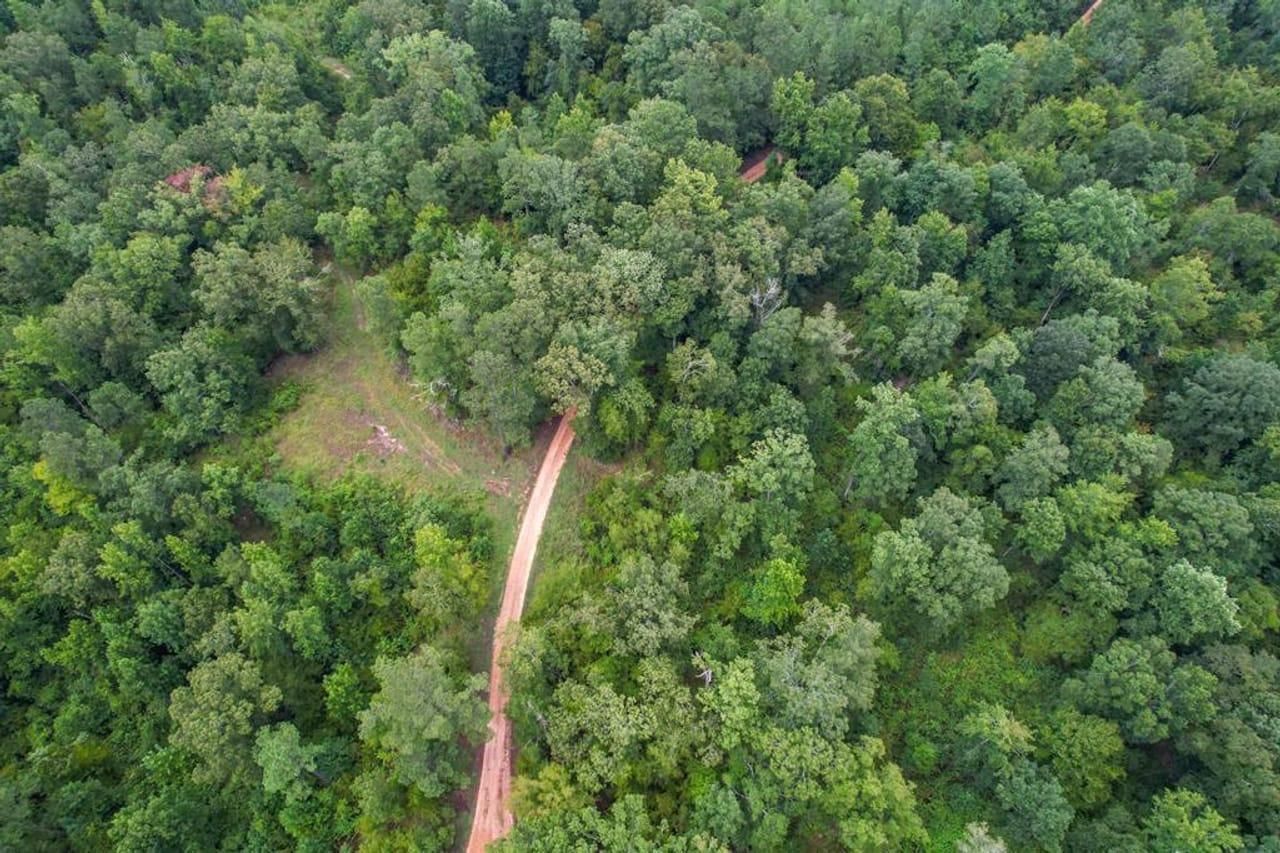 95 Acres, 3000 Paul Gallows Road, Utica, MS 39175 Land and Farm