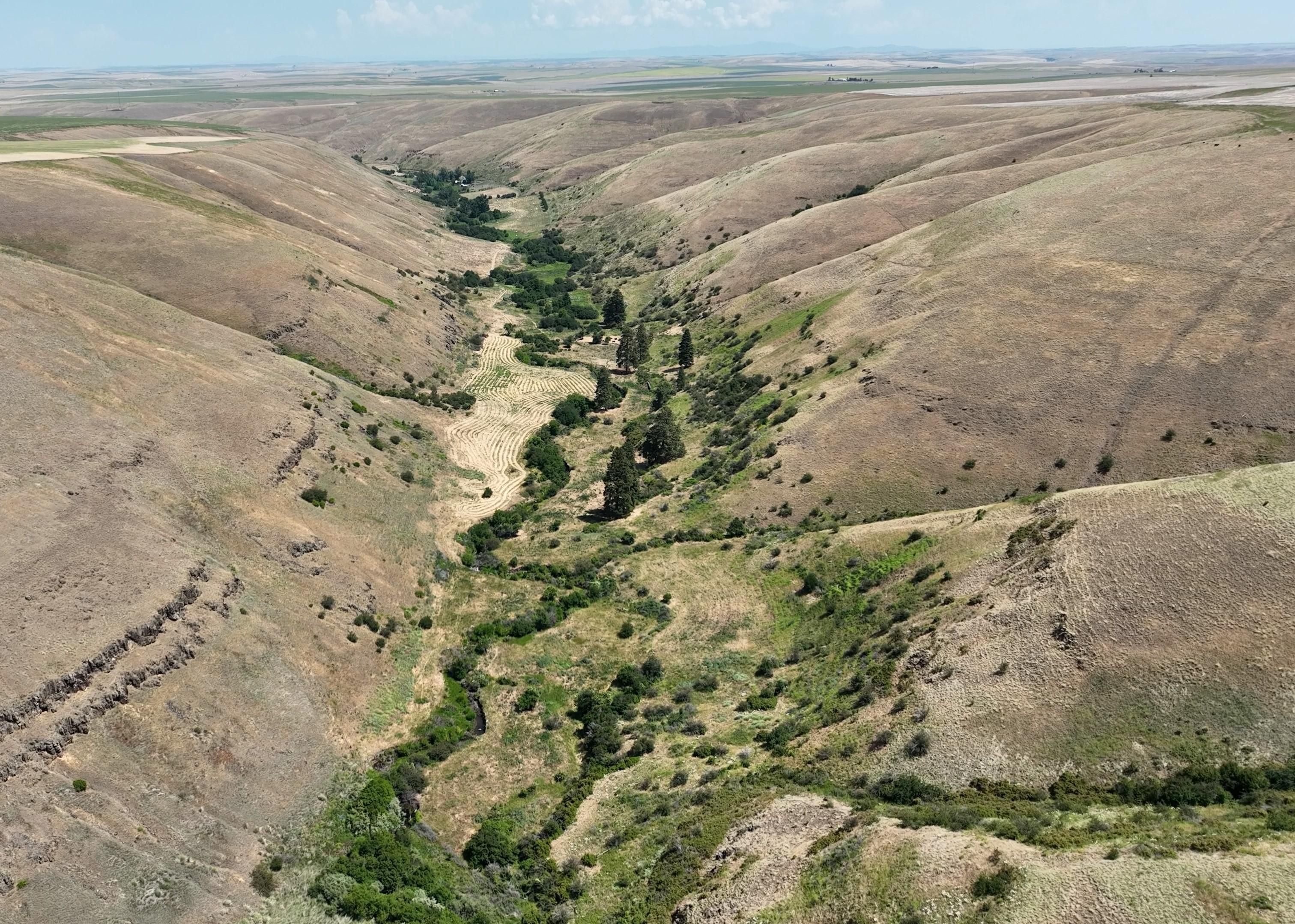 347.55 acres in Pomeroy, WA, 99347 Land and Farm