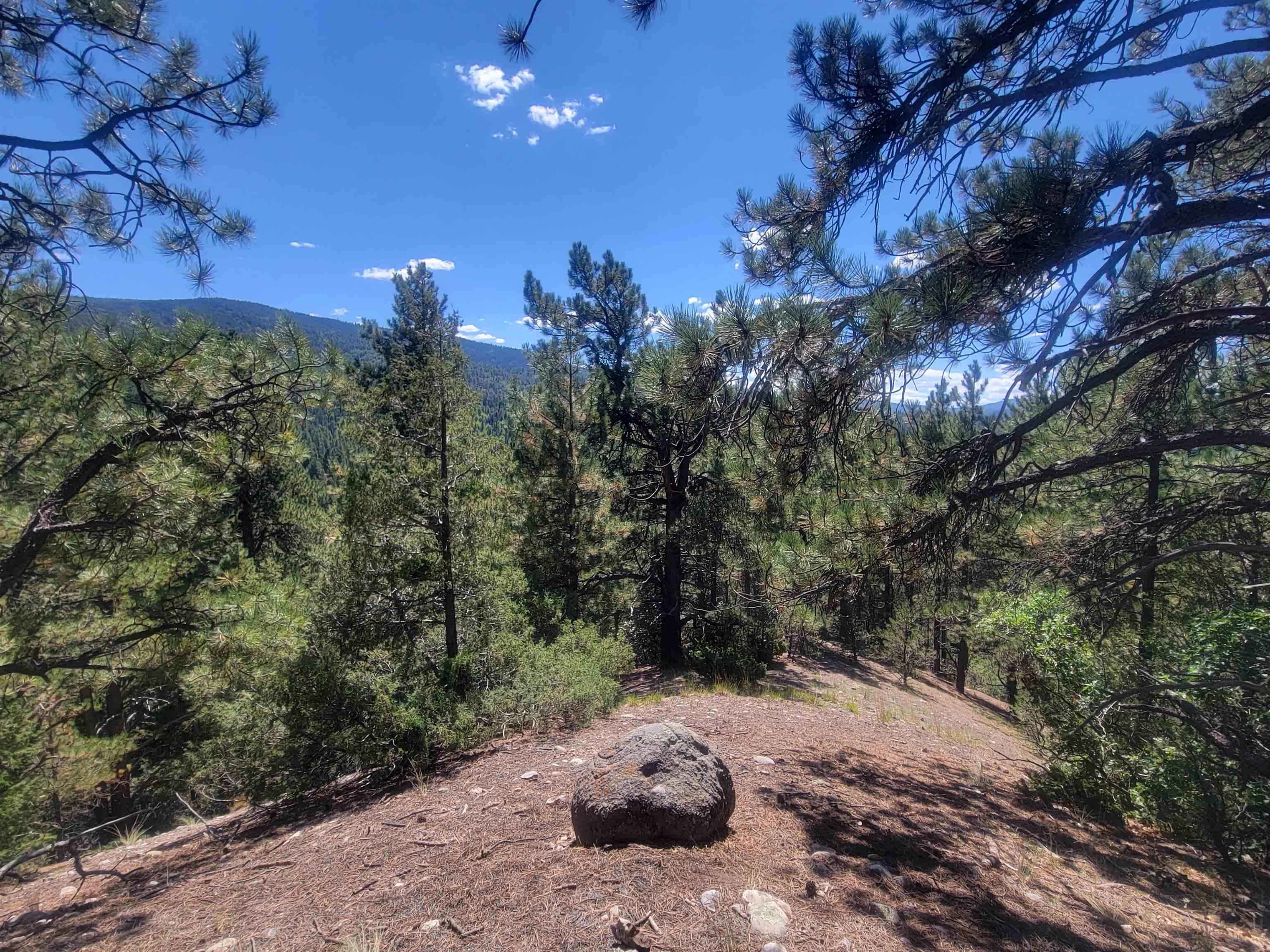 9 Acres, 26904 Us Highway 64, Taos, NM 87571 Land and Farm