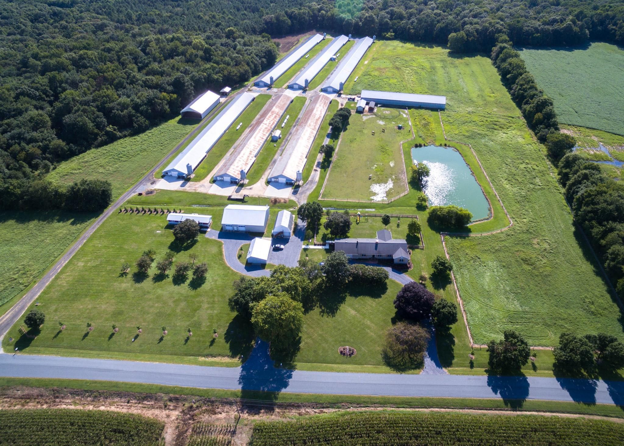 38.04 Acres, 11034 Kittys Corner Rd, Cordova, MD 21625 Land and Farm