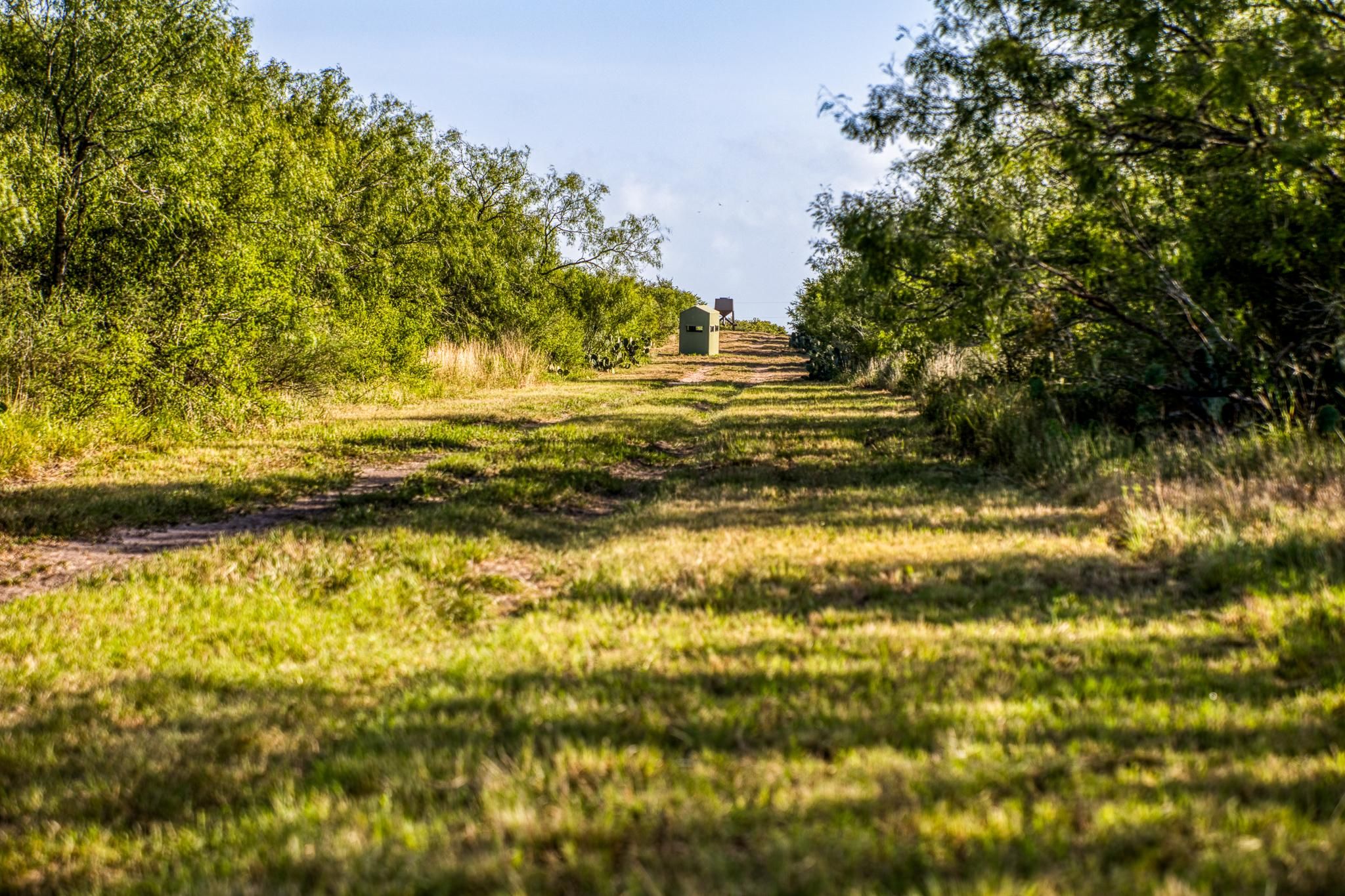209 Acres, FM 2295, Benavides, TX 78341 Land and Farm