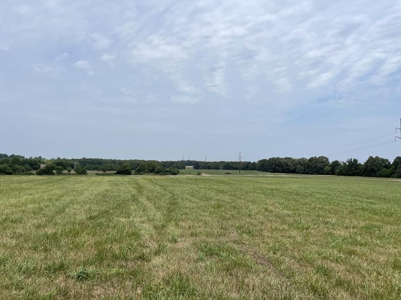 102 Acres, 000 Wiseman rd, Marshfield, MO 65706 Land and Farm