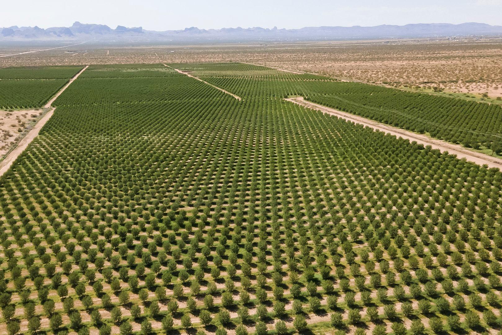 4536 W Dora Dr, Kingman, AZ 86413 | Land and Farm