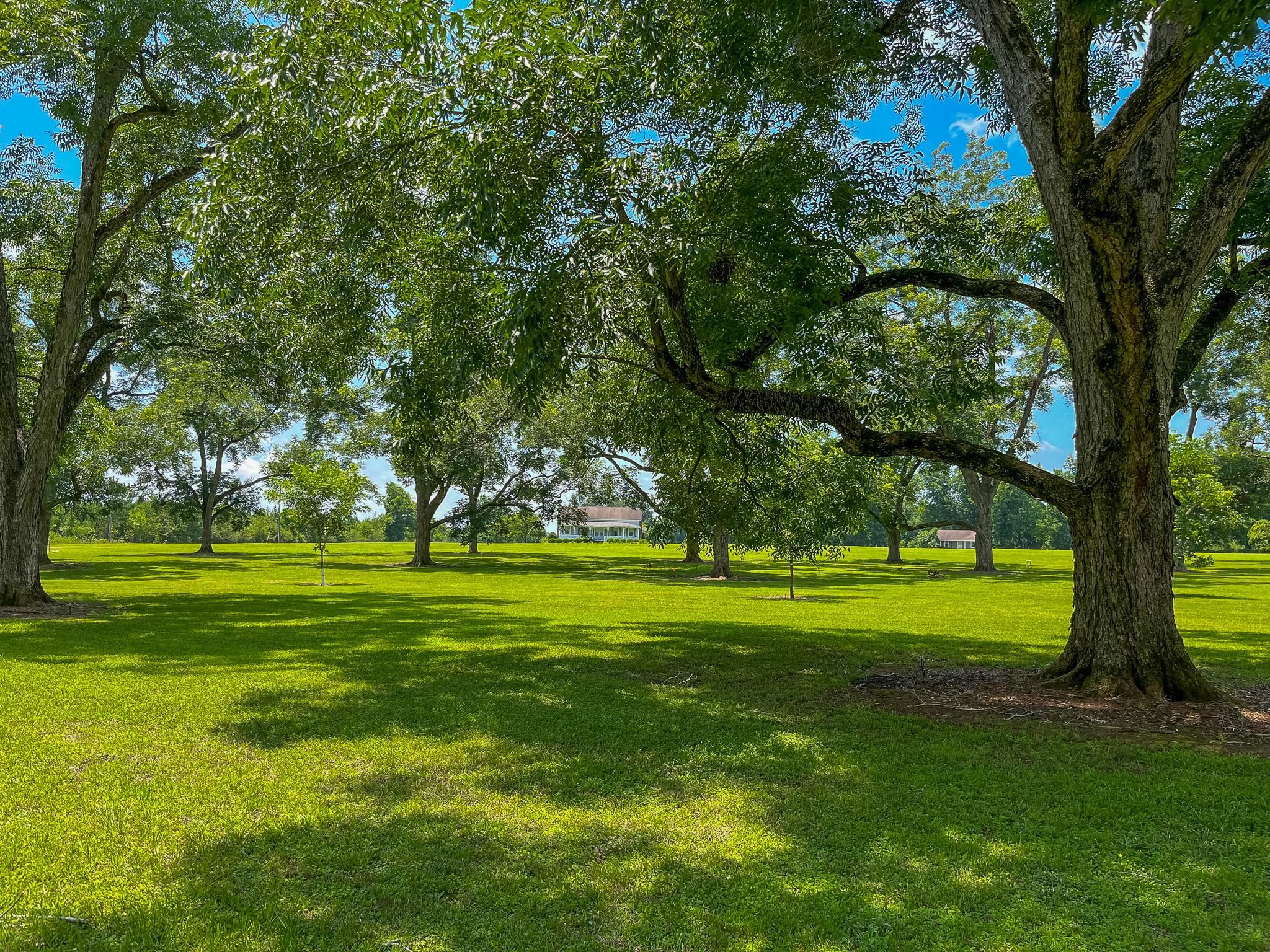 6 Acres, 3476 Lower Shellman Rd, Shellman, GA 39886 Land and Farm