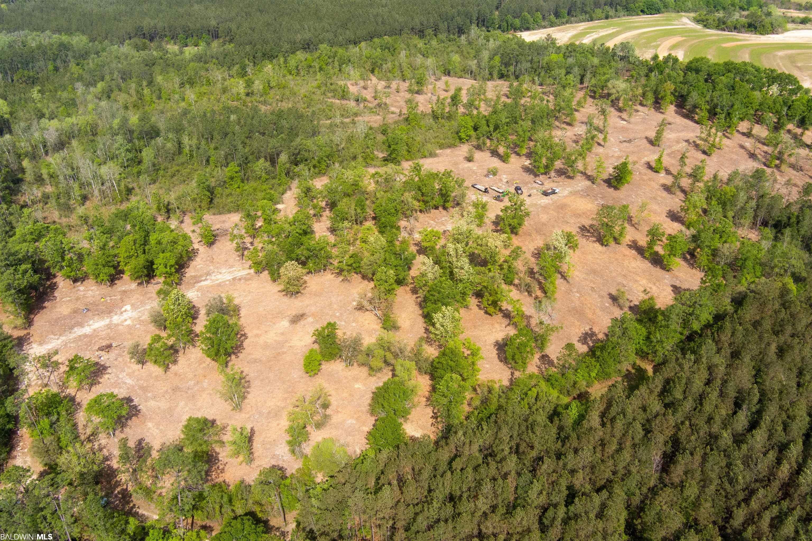 41 Acres, 0 Burbon Lane, Robertsdale, AL 36567 Land and Farm