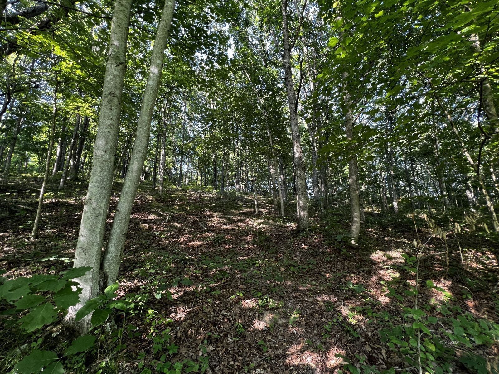 14.7 Acres, Mound Hill Rd, Wilkesville, OH 45695 Land and Farm