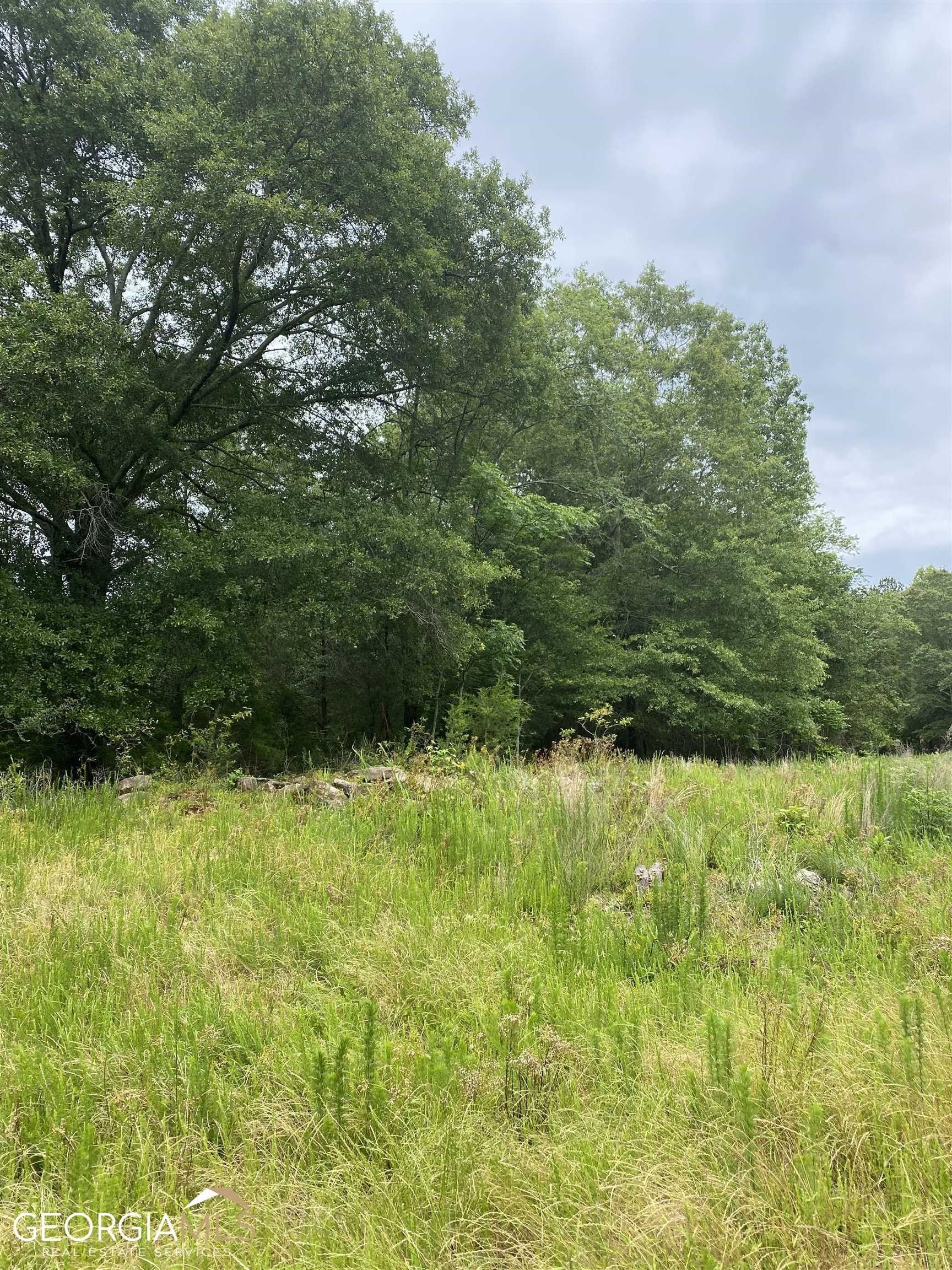 1.52 Acres, 0 River Birch Lane, Colbert, GA 30628 Land and Farm