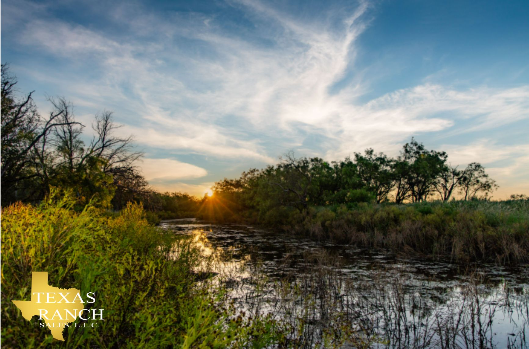 1,388 acres in Melvin, TX, 76858 Land and Farm