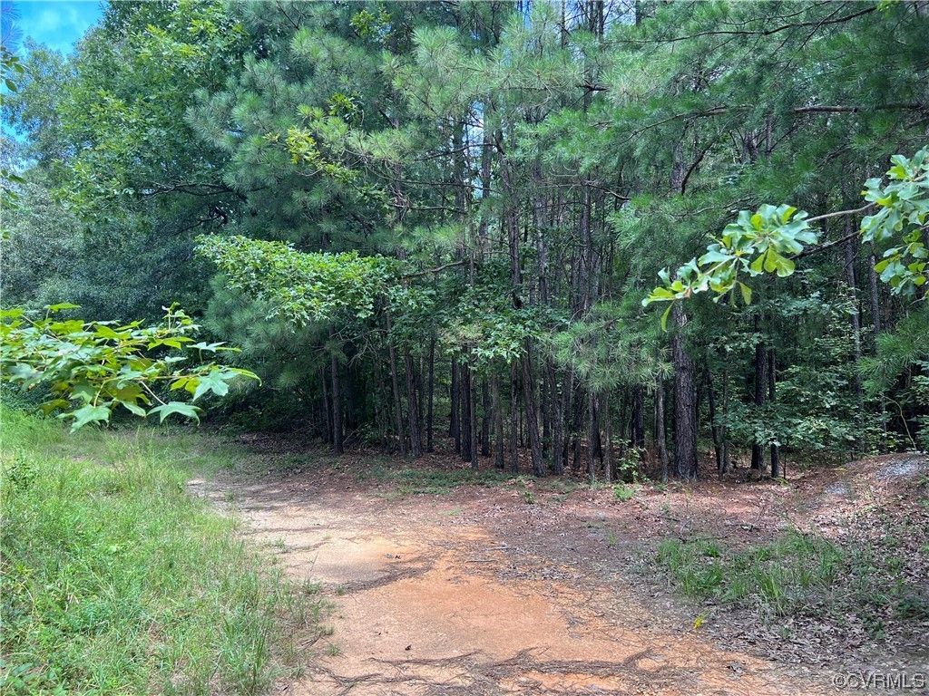 12.73 Acres, 0 Samaria Lane, Charles City, VA 23030 Land and Farm