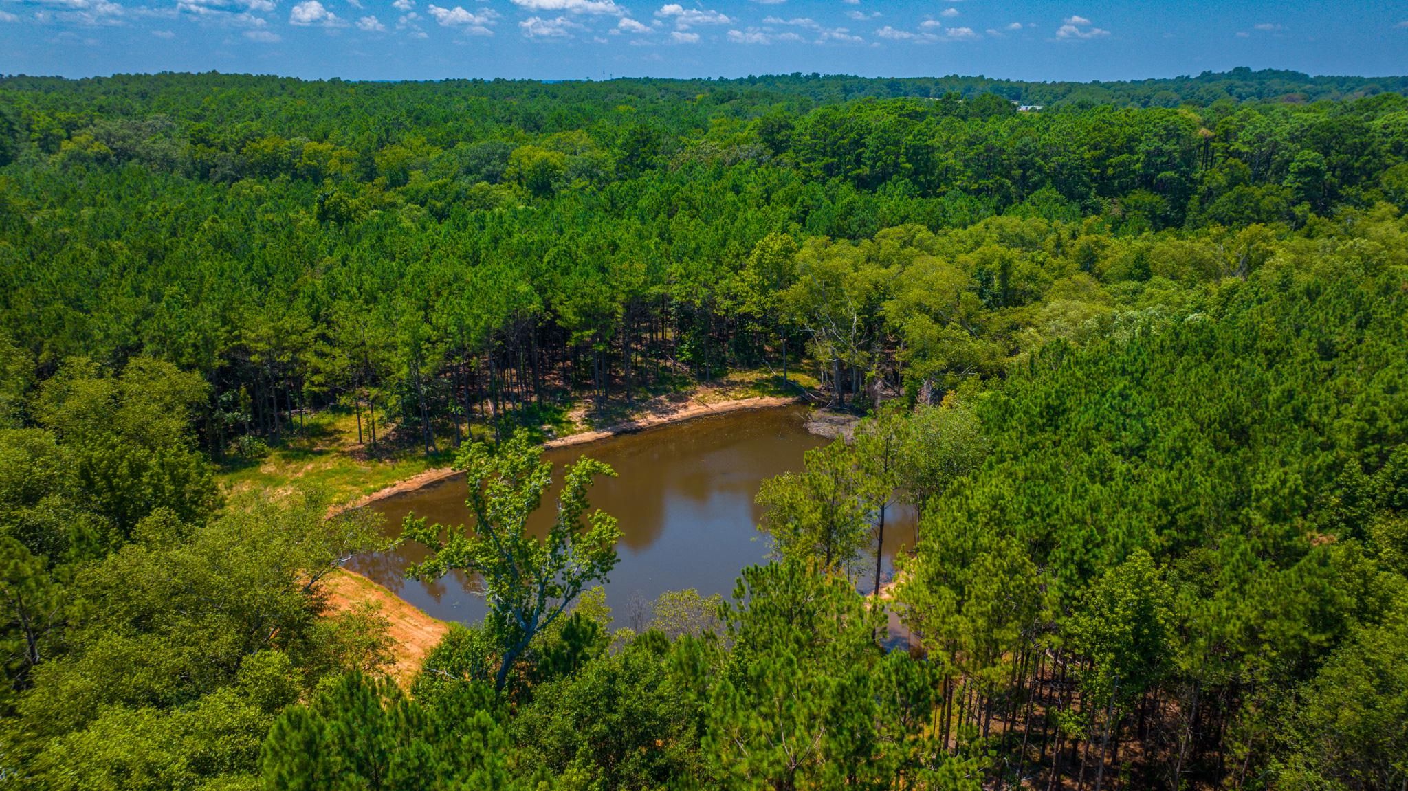 14777 CR 1104, Flint, TX 75762 MLS Small Acreage Homesite Or