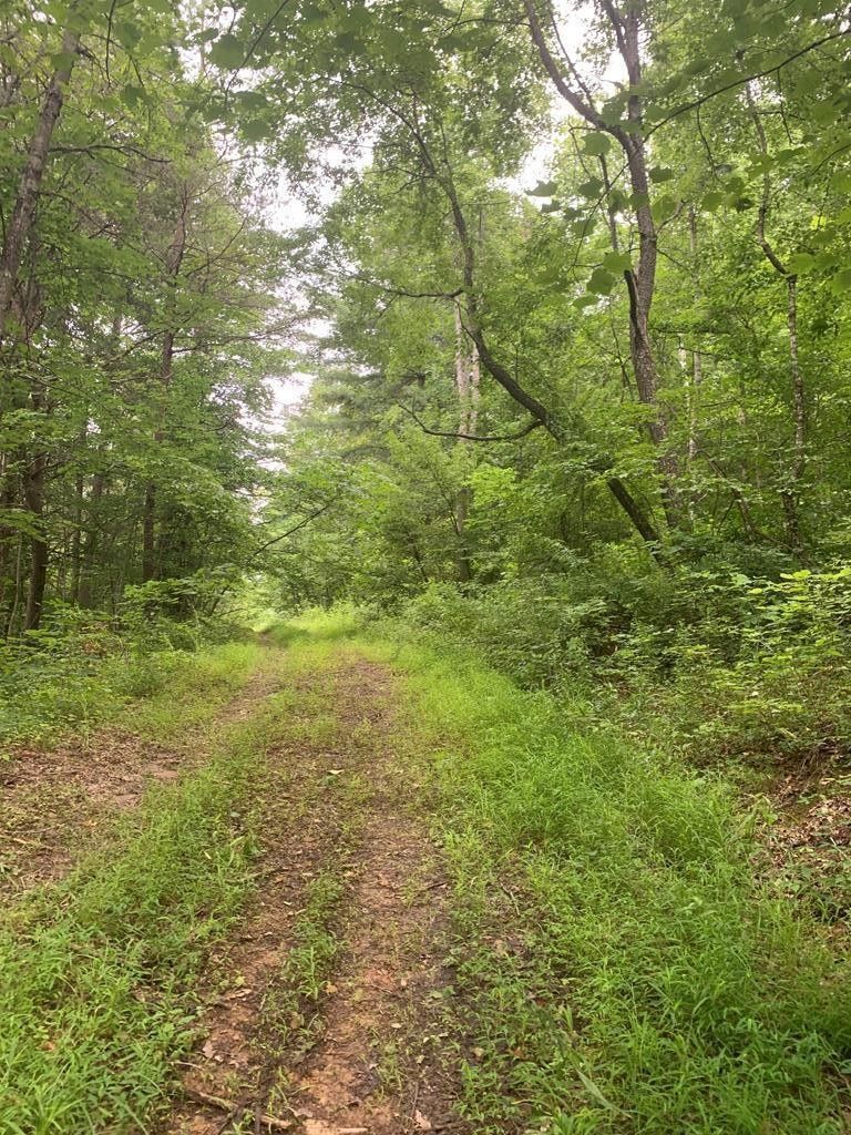 121 Acres, 13135 Morehead Road, Wallingford, KY 41093 Land and Farm