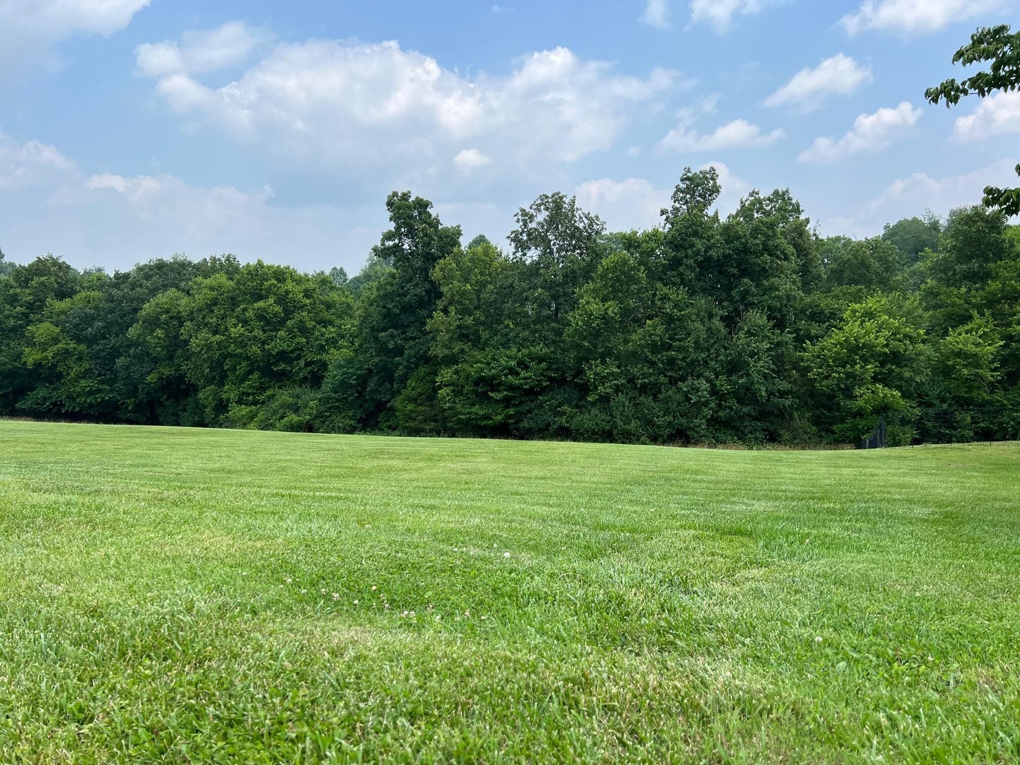 1.31 Acres, 195 Lakeland Drive, Harrodsburg, KY 40330 Land and Farm