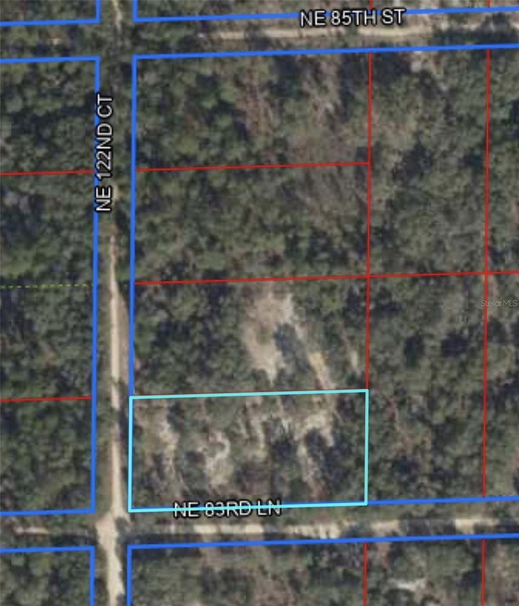 1.25 Acres, 00 NE 122ND COURT, Bronson, FL 32621 Land and Farm